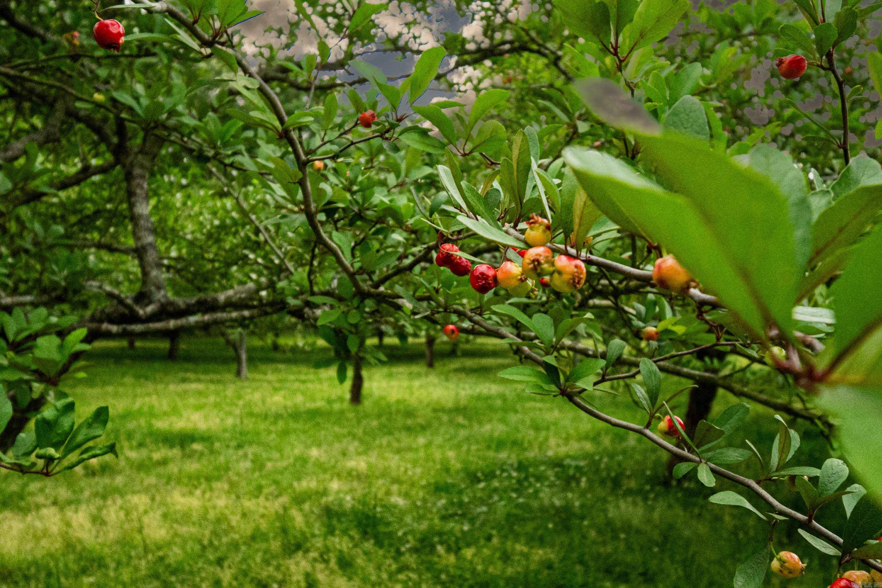 267 Nick Springs Rd  El Dorado, AR