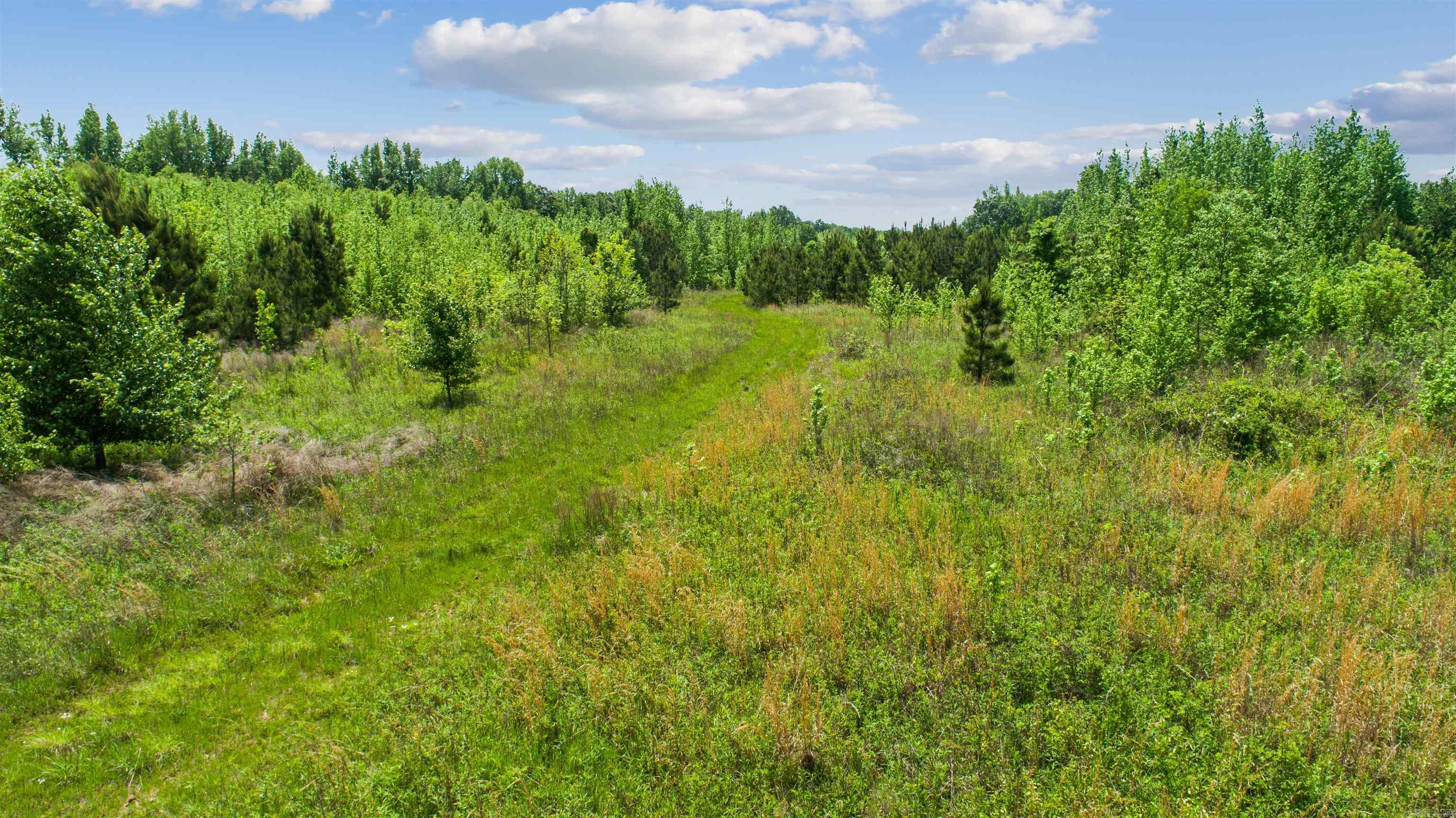 67.78 acres CR 114  Jonesboro, AR