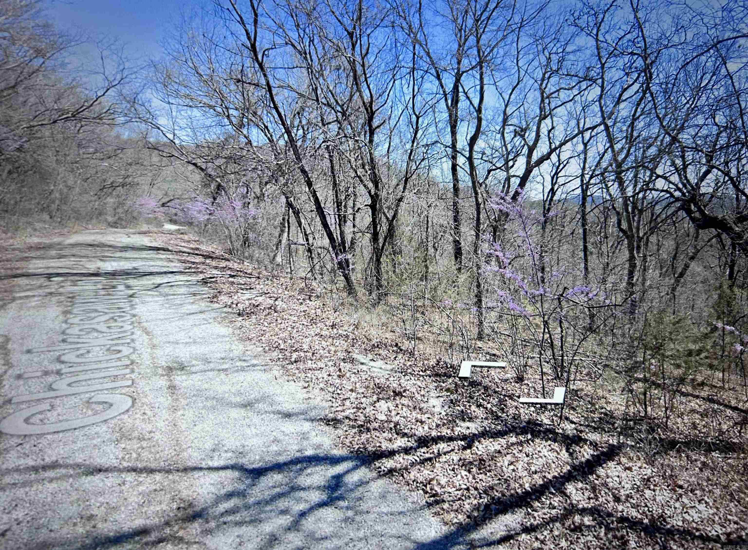 Lot 31 Chickasaw  Holiday Island, AR