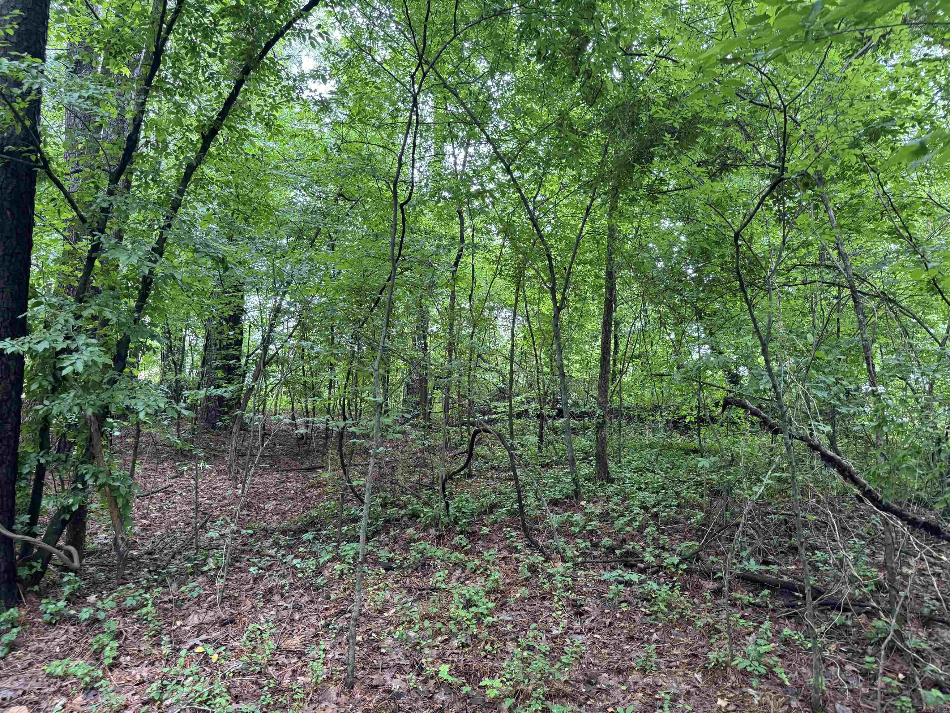 Lot 2 Woodland Drive  Benton, AR