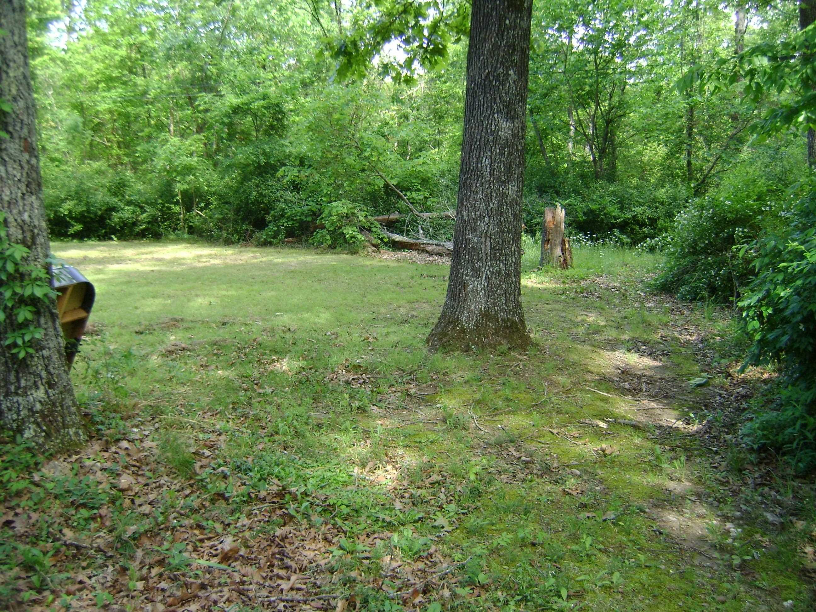 305 Bambi Lane  Horseshoe Bend, AR
