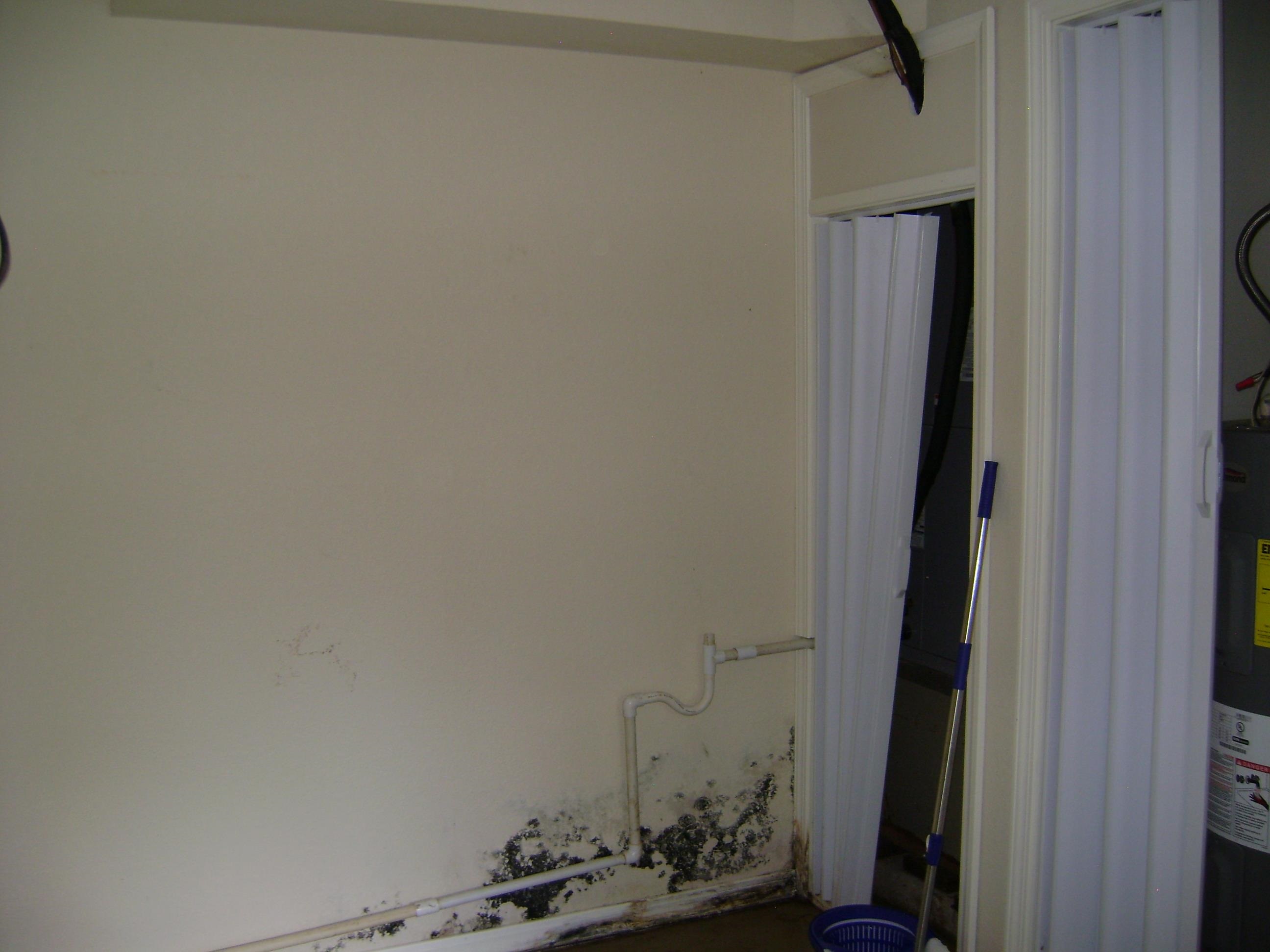 305 Bambi Lane  Horseshoe Bend, AR