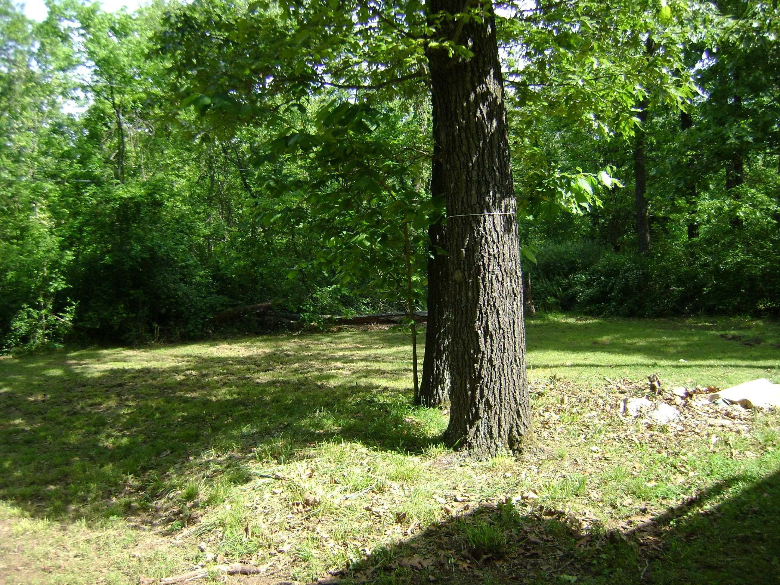 305 Bambi Lane  Horseshoe Bend, AR