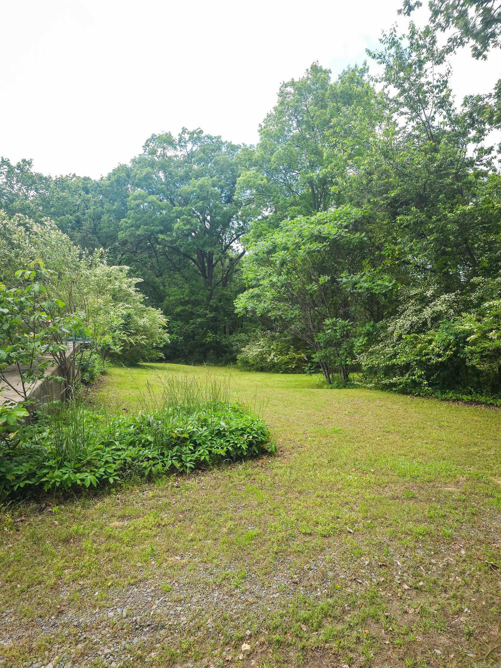 163 Junior  Clinton, AR