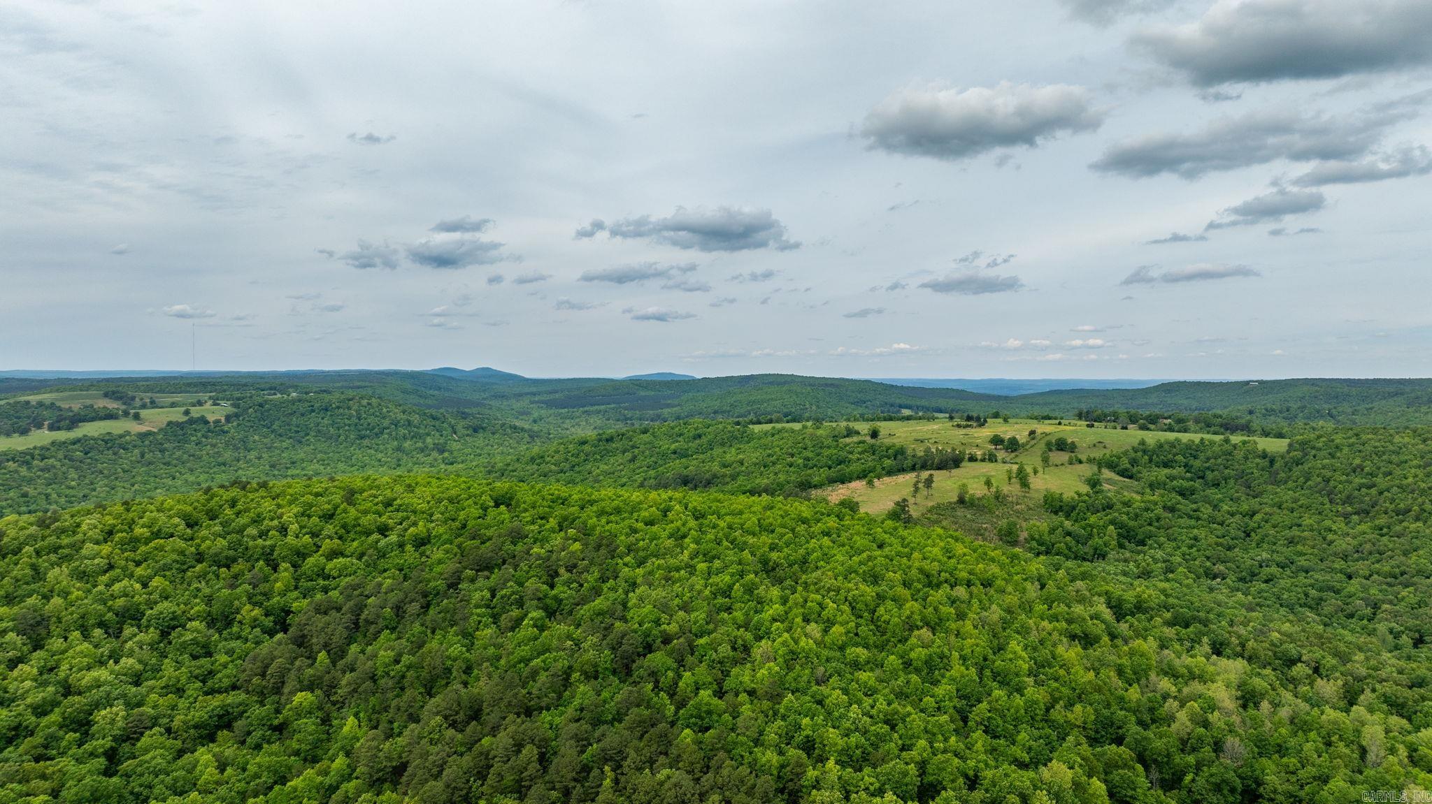 1505 Brushy Creek  Mountain View, AR