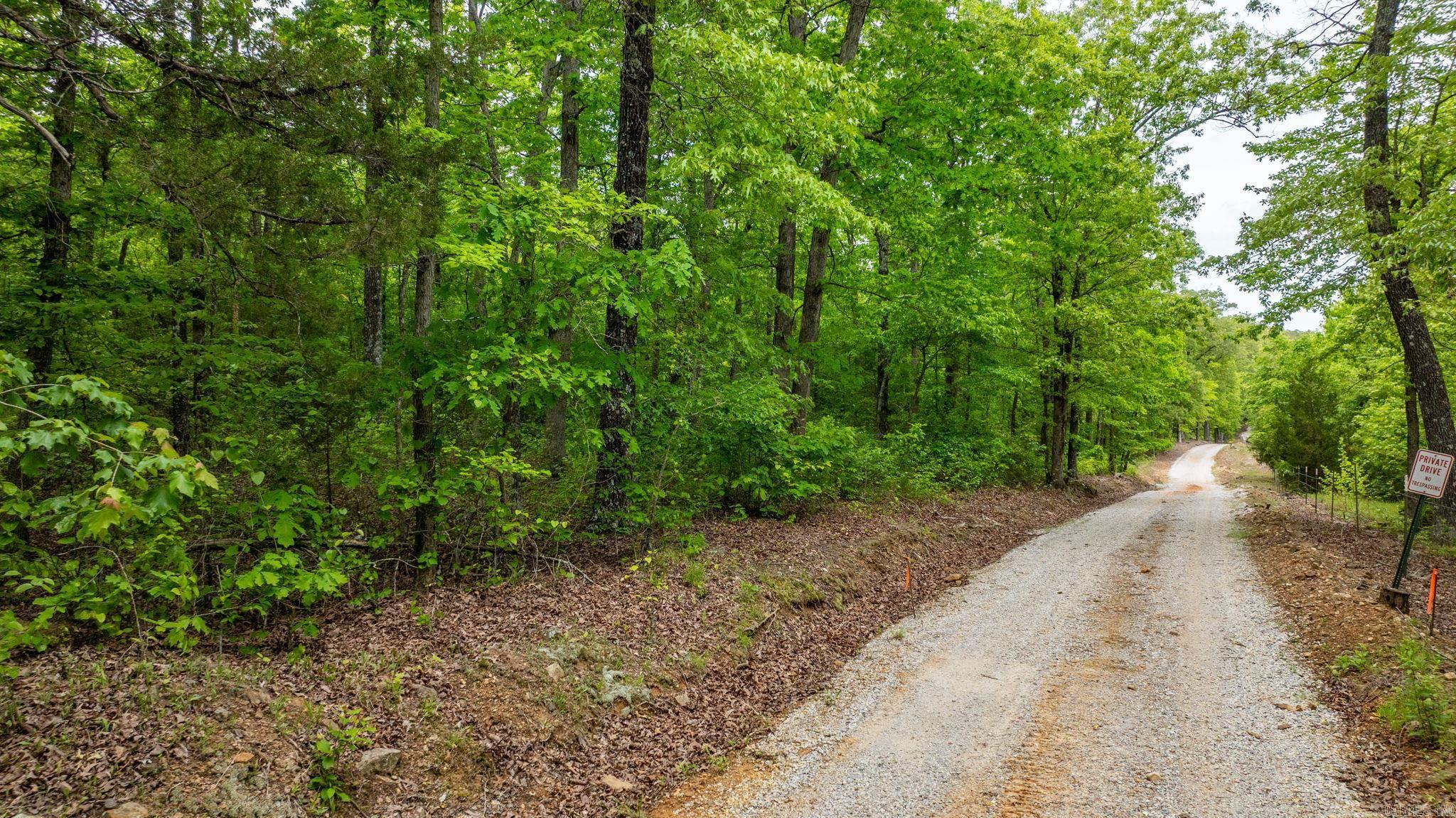 1505 Brushy Creek  Mountain View, AR