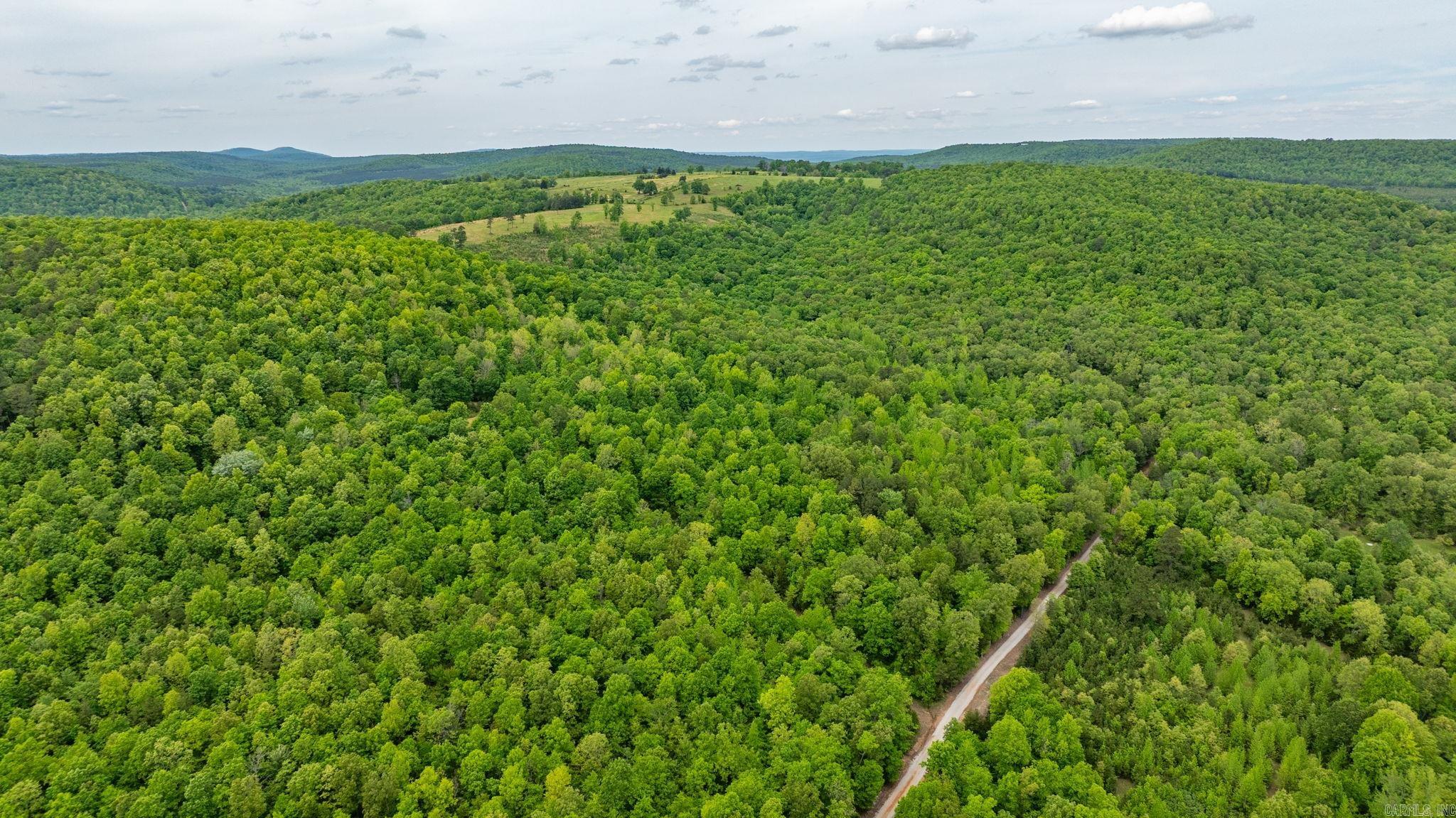 1505 Brushy Creek  Mountain View, AR