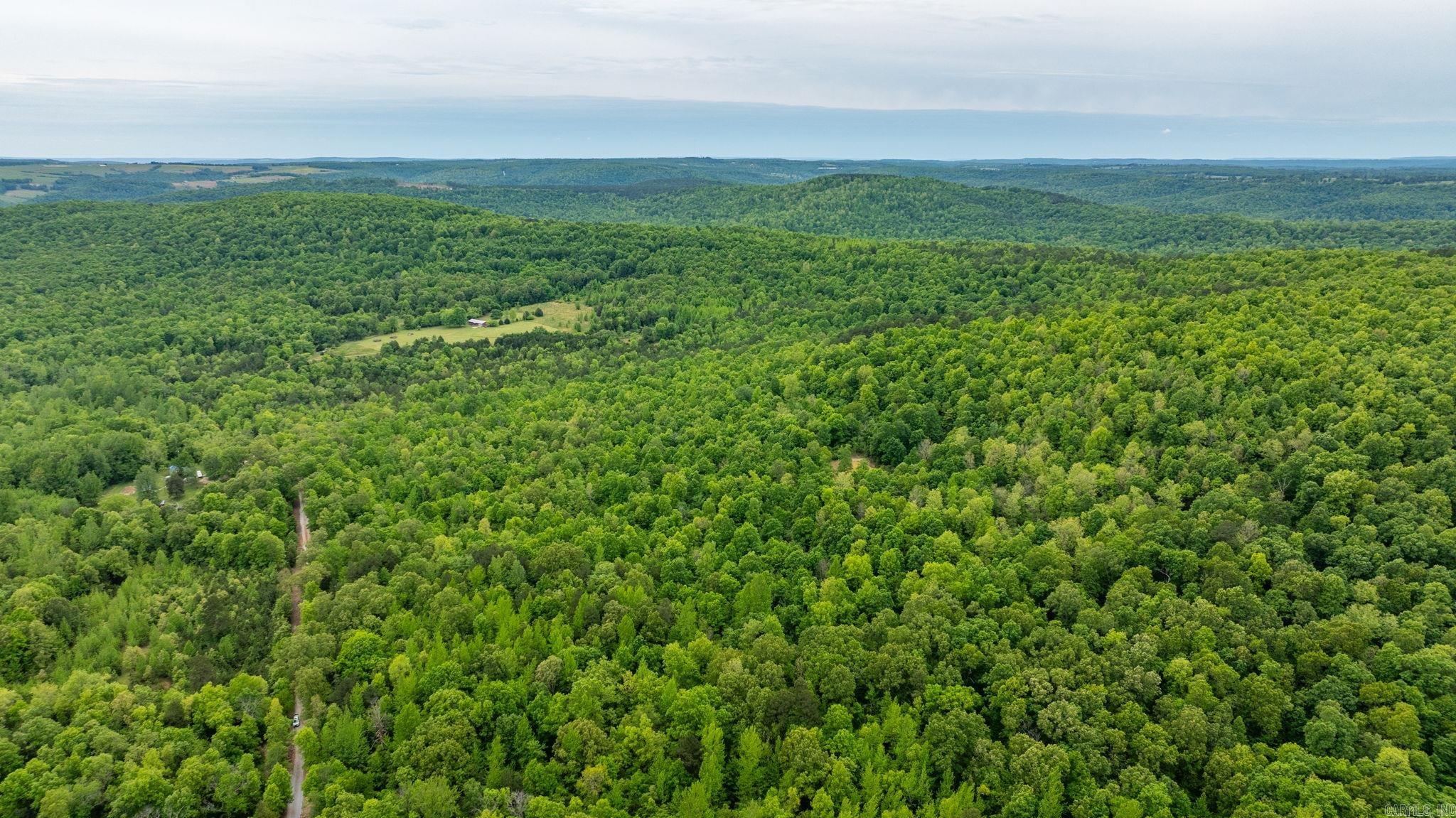 1505 Brushy Creek  Mountain View, AR