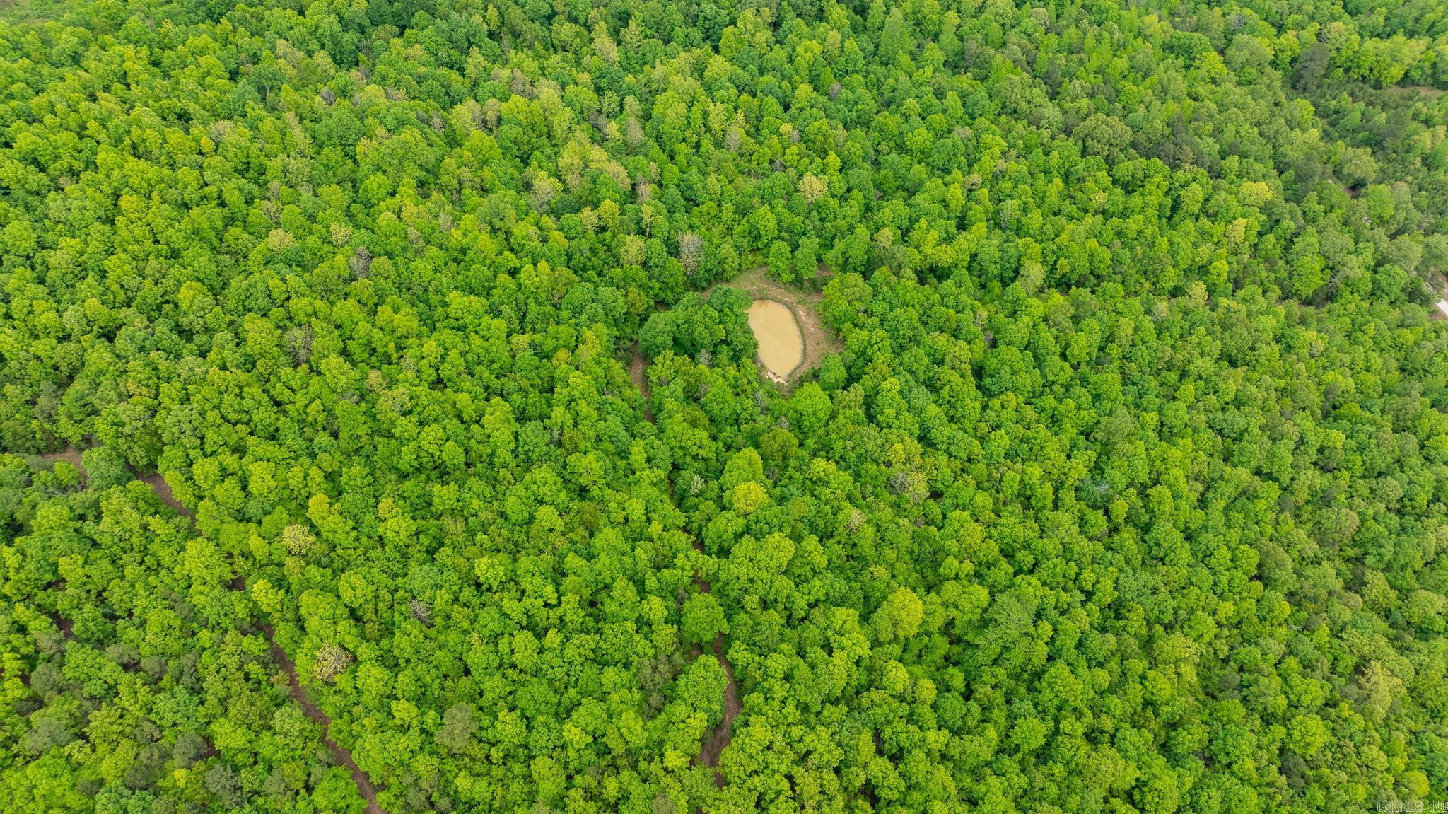 1505 Brushy Creek  Mountain View, AR