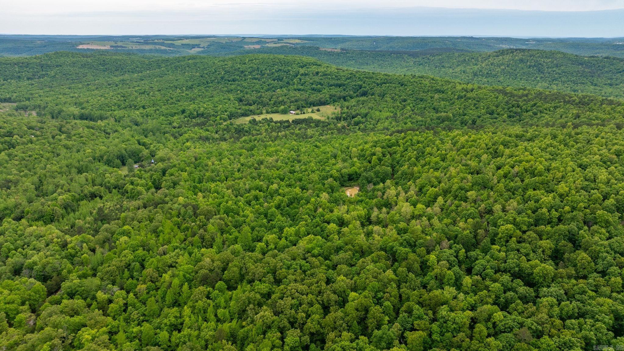 1505 Brushy Creek  Mountain View, AR