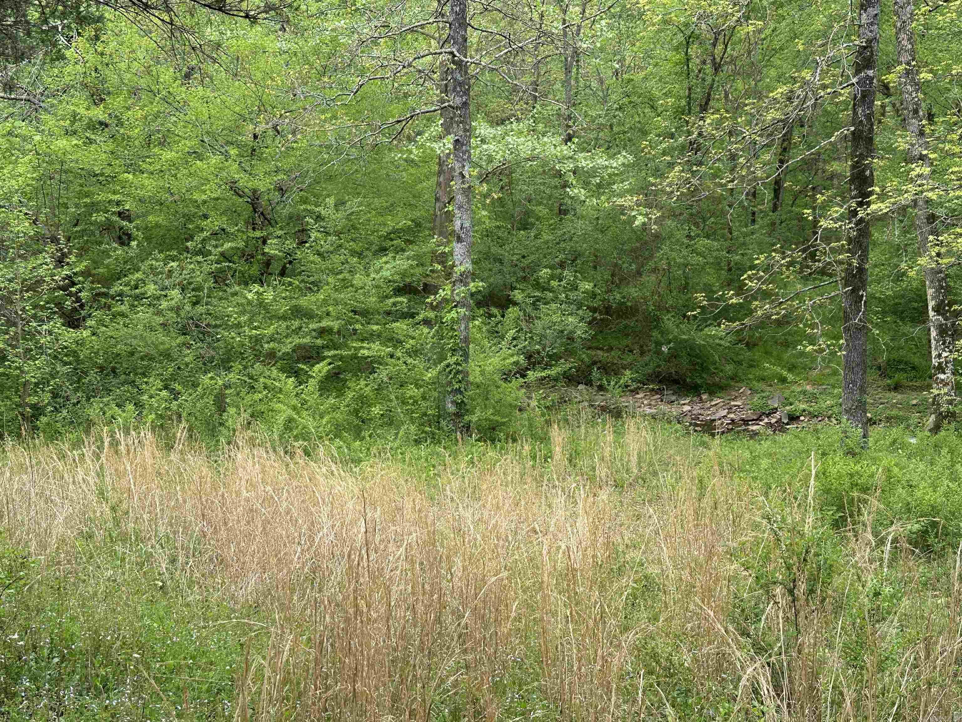 4090 Sunny Slope  Edgemont, AR