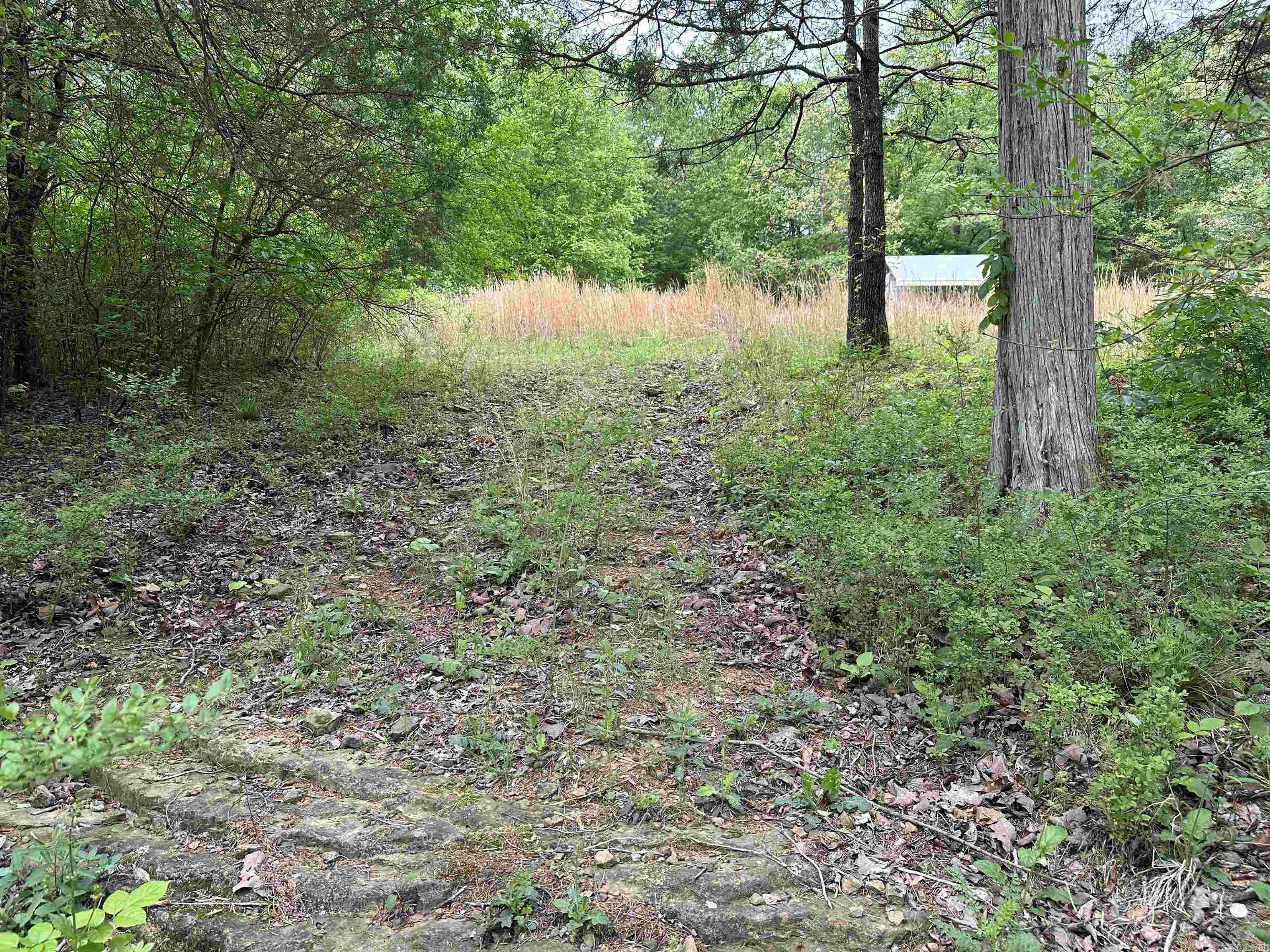 4090 Sunny Slope  Edgemont, AR