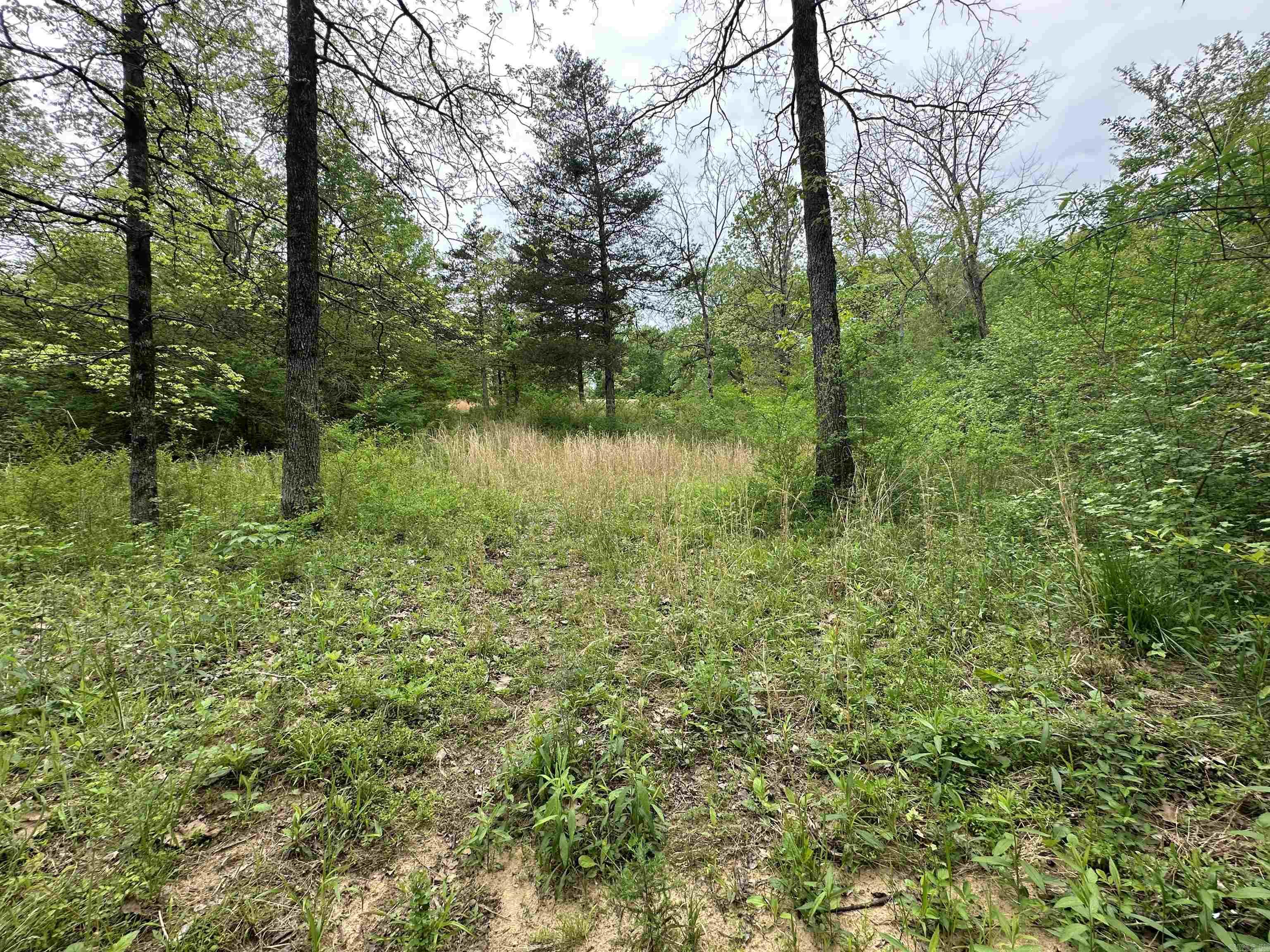 4090 Sunny Slope  Edgemont, AR