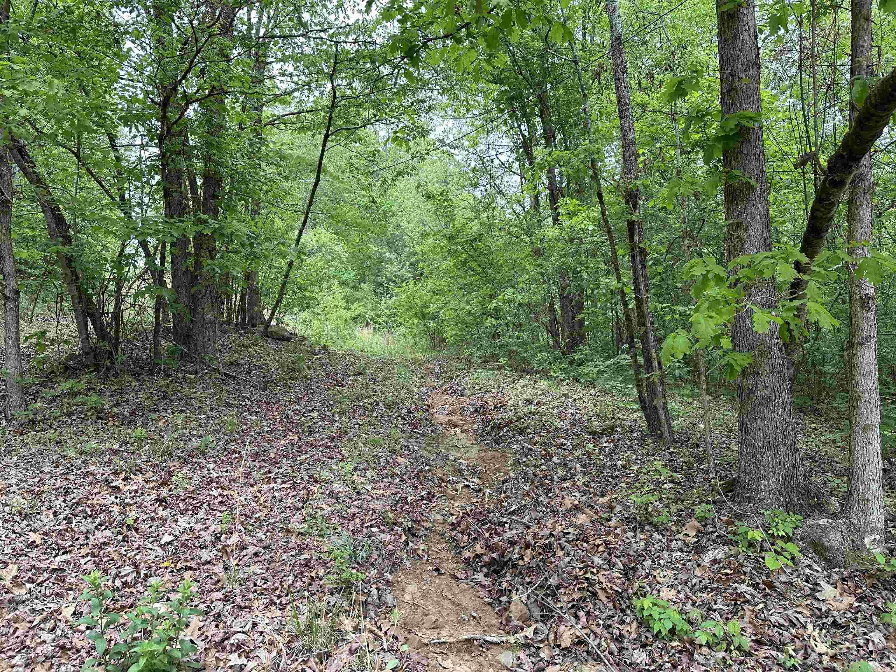 4090 Sunny Slope  Edgemont, AR