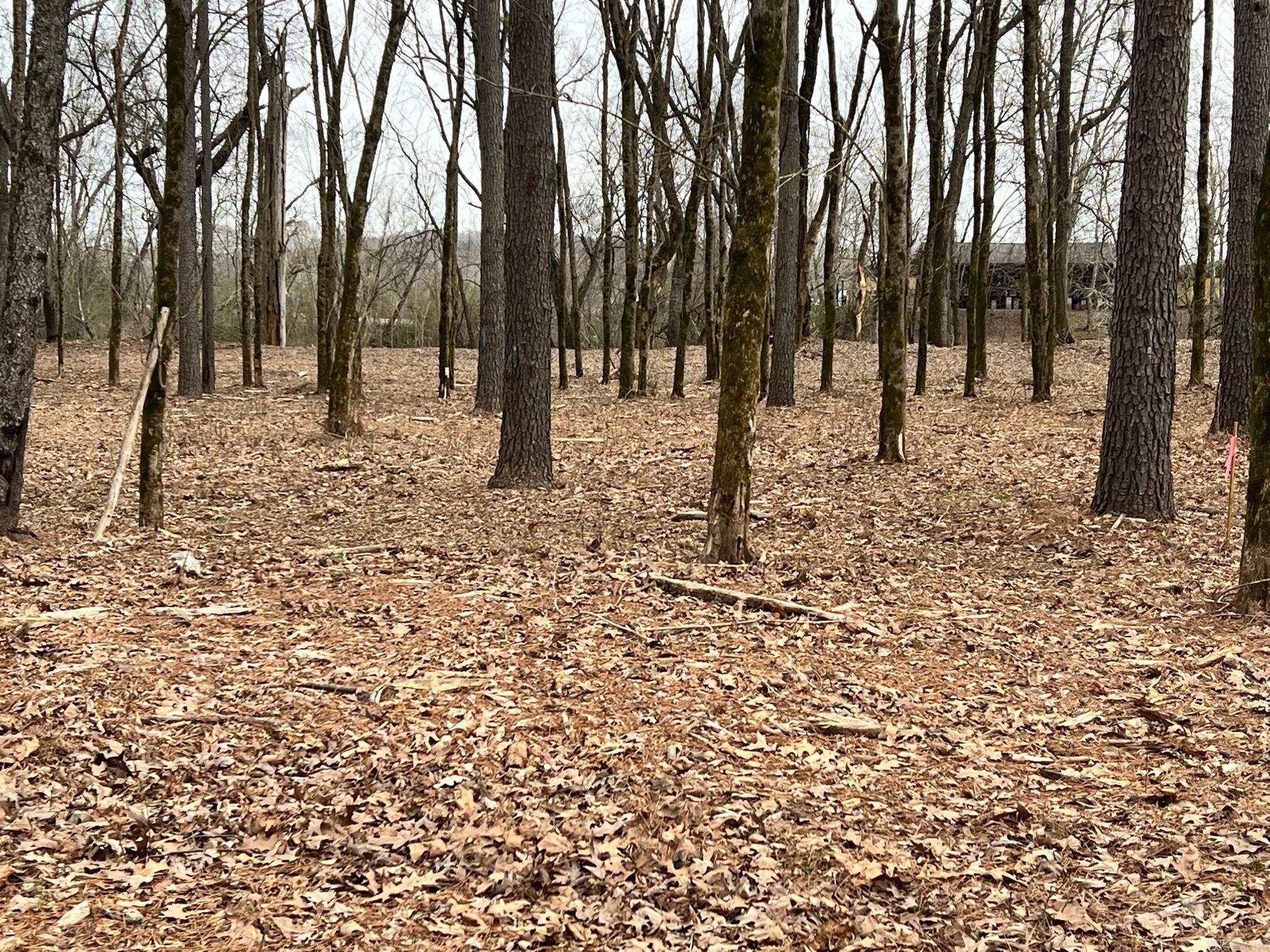 0 Sunshine  Pangburn, AR