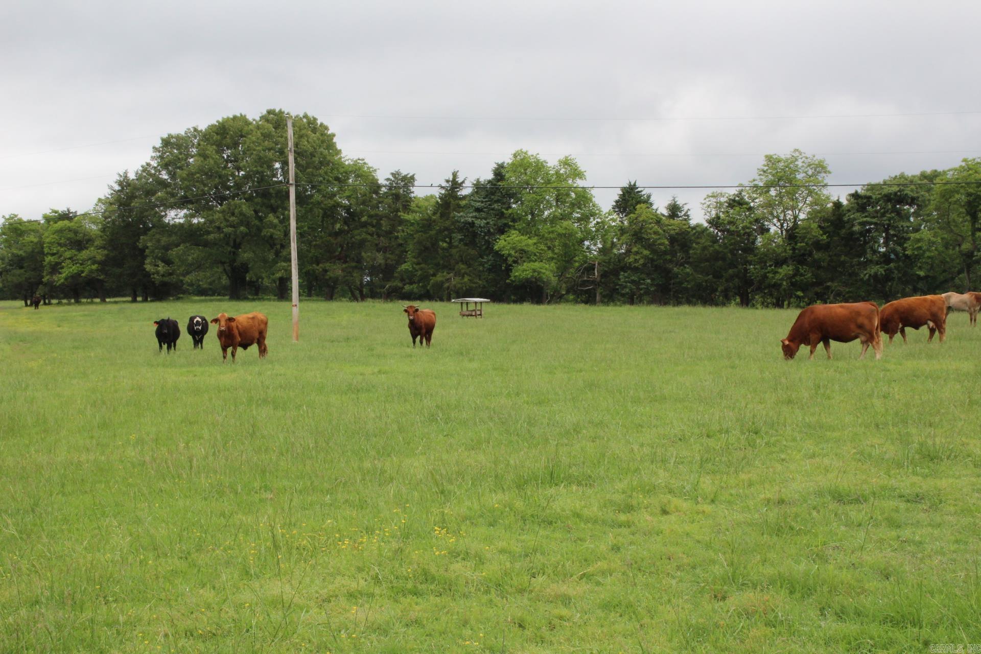 3811 MC 6014 Yellville, AR 72687