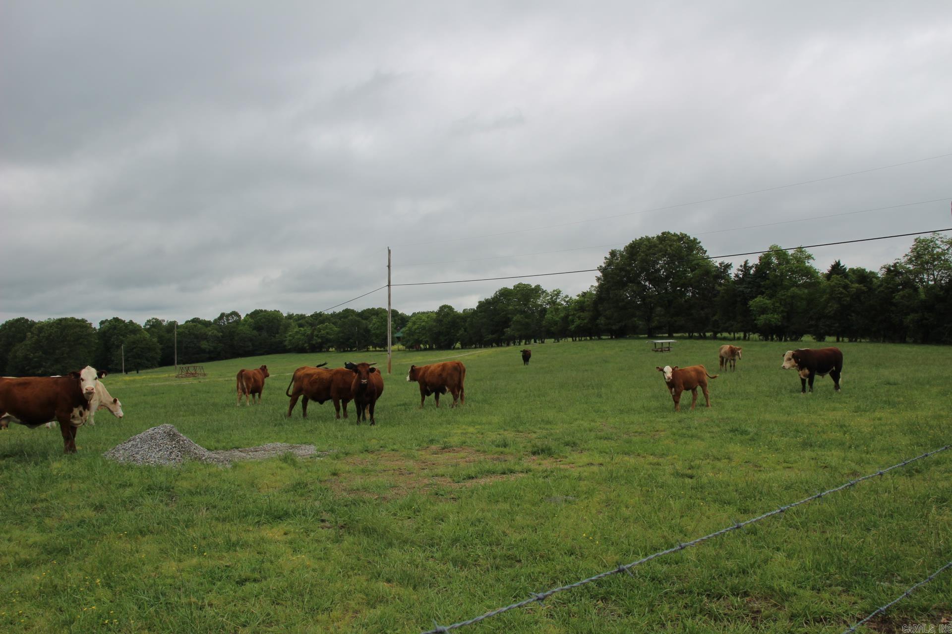 3811 MC 6014 Yellville, AR 72687