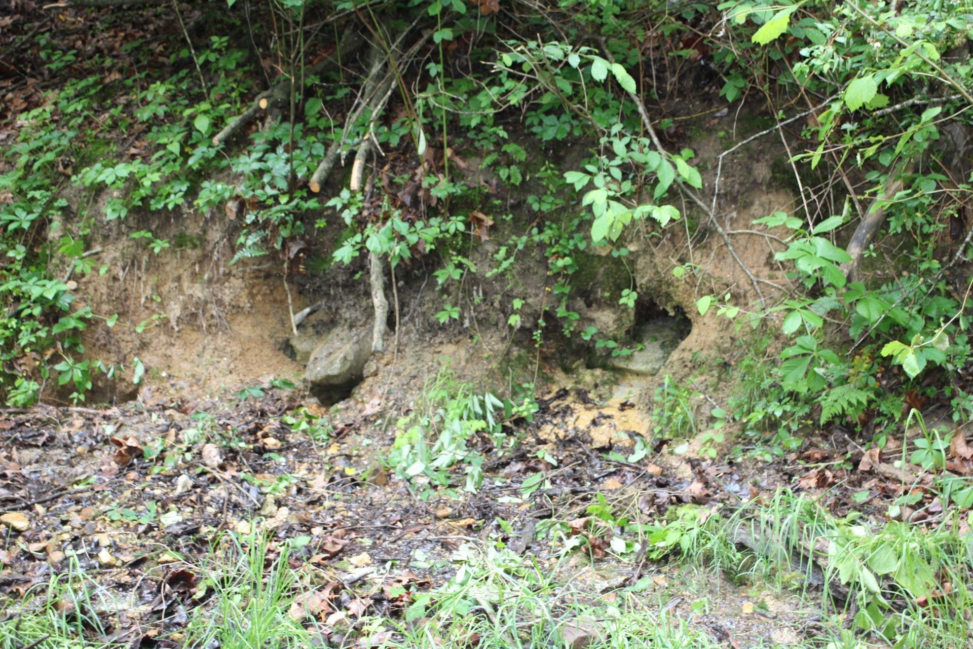 3811 MC 6014 Yellville, AR 72687