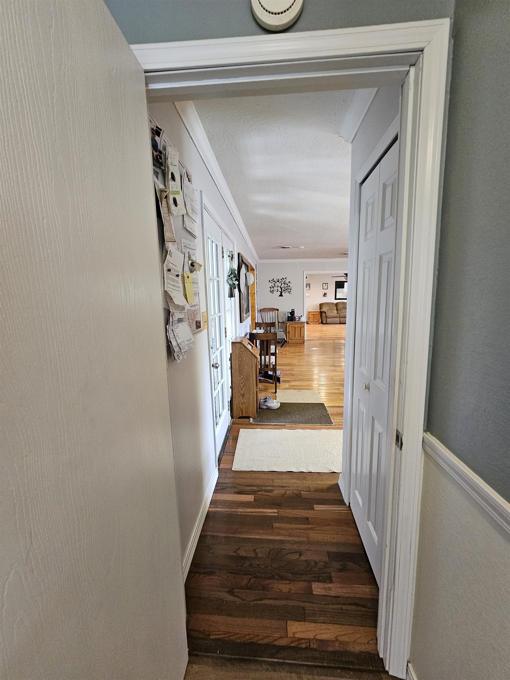 313 Fairway Drive Horseshoe Bend, AR 72512