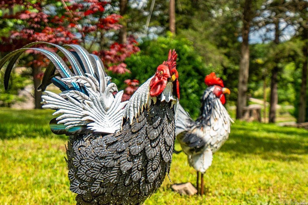 4915 Albert Pike Road Hot Springs, AR 71913