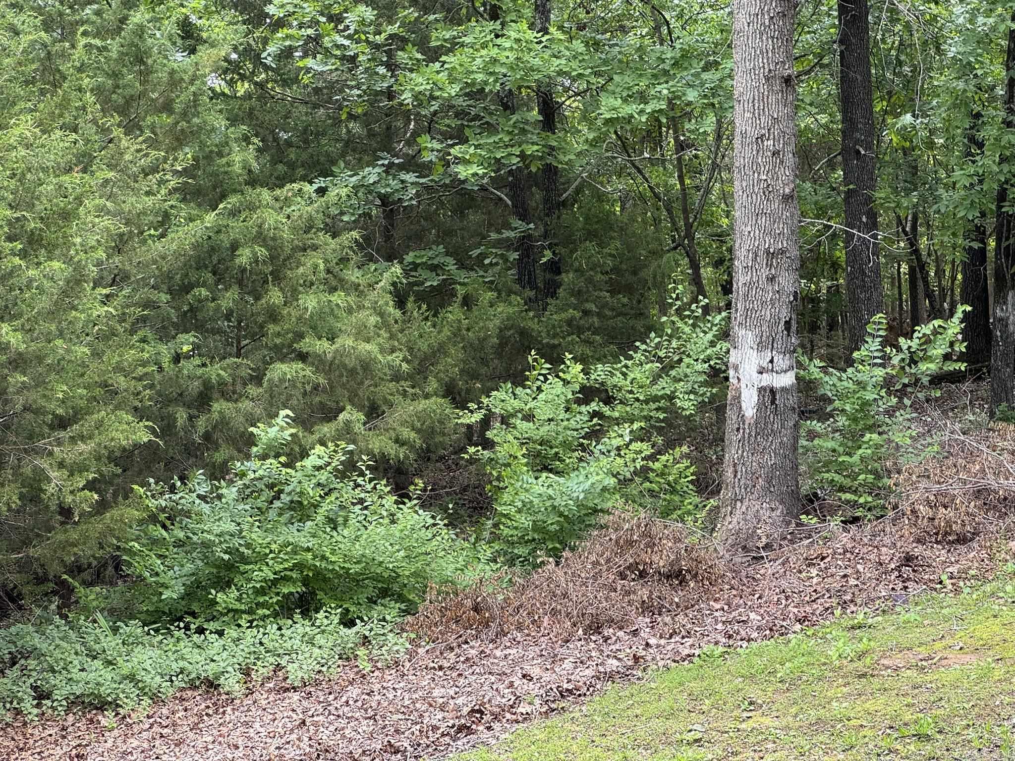 120 Pinehurst  Bull Shoals, AR