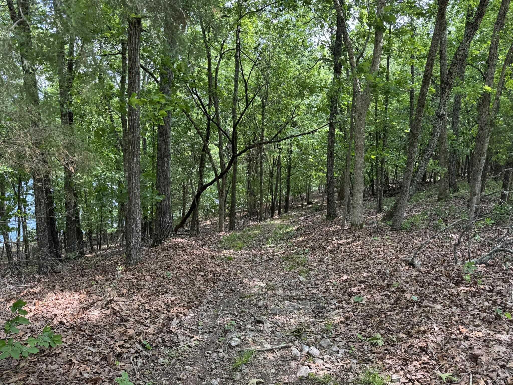 120 Pinehurst  Bull Shoals, AR