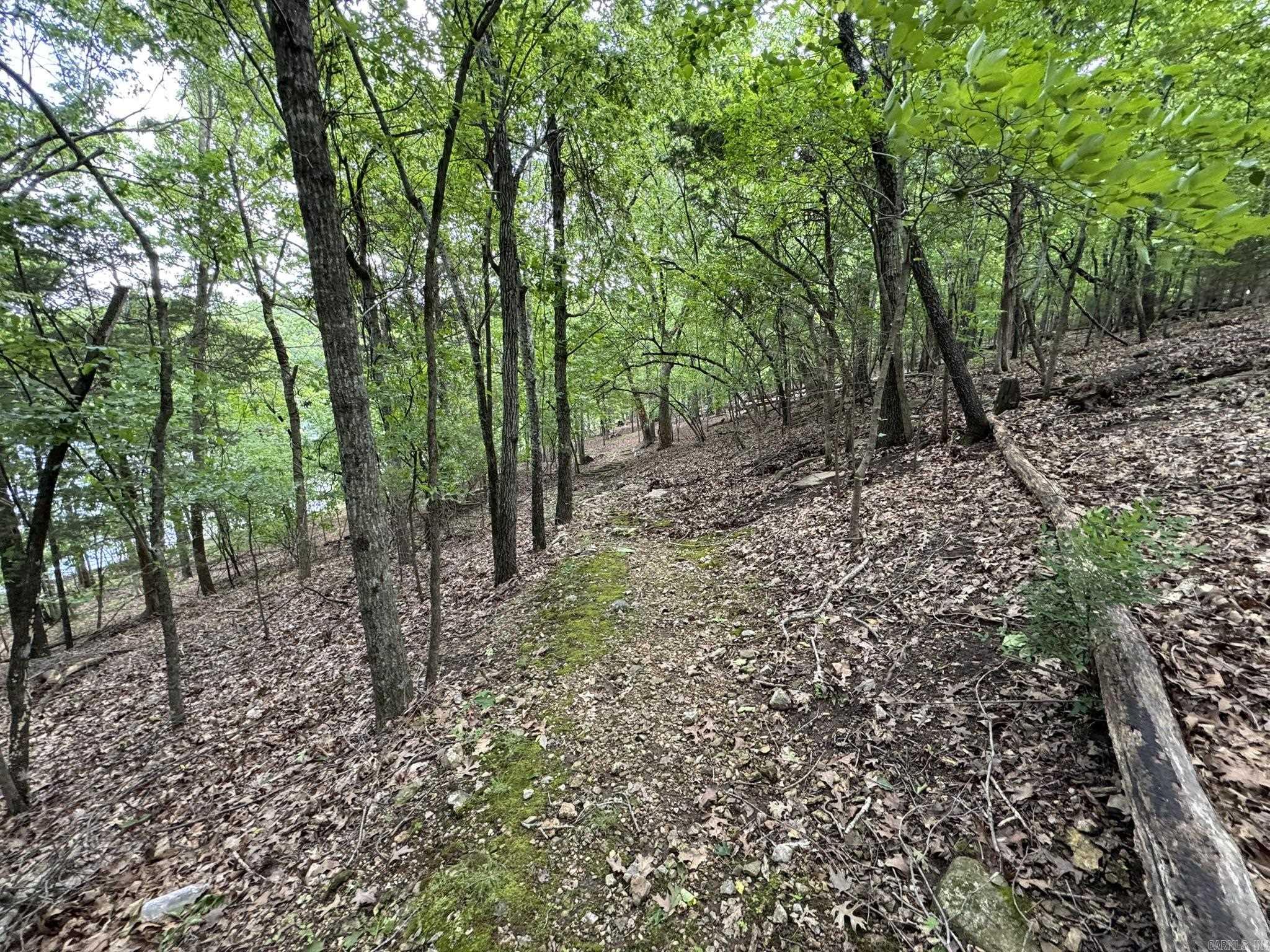 120 Pinehurst  Bull Shoals, AR