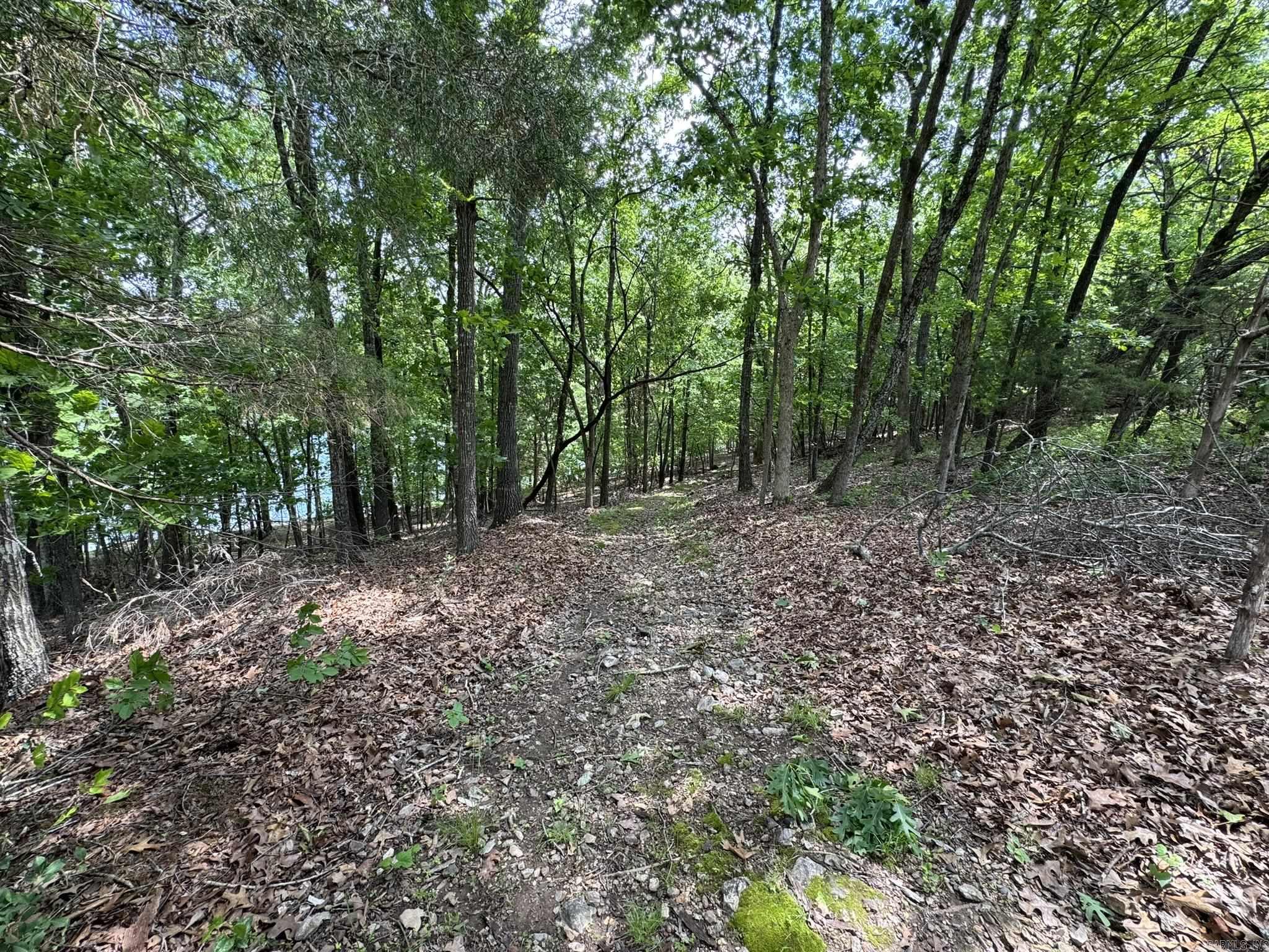 120 Pinehurst  Bull Shoals, AR