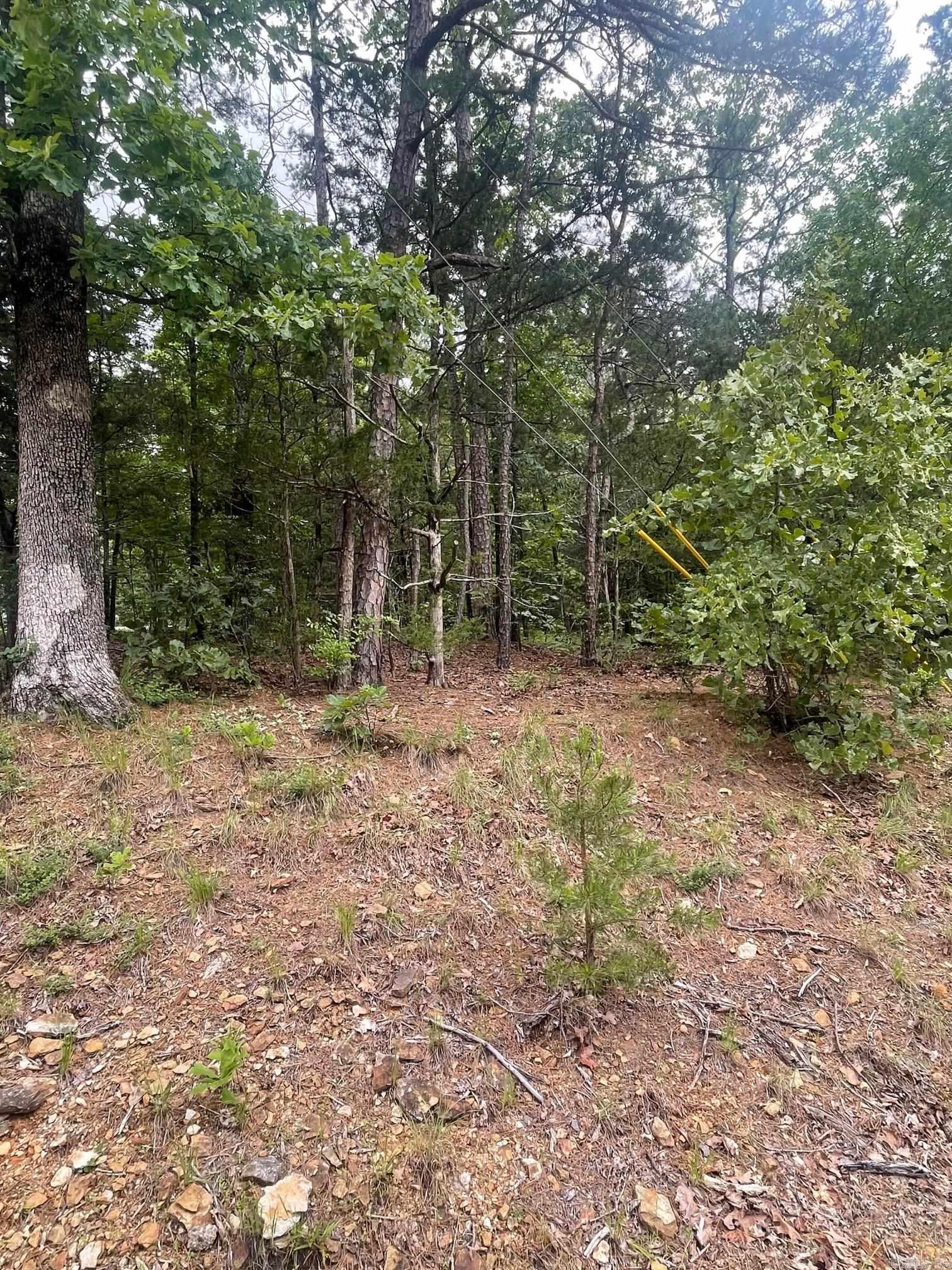 Lots 286 & 287 Ridgeview Drive