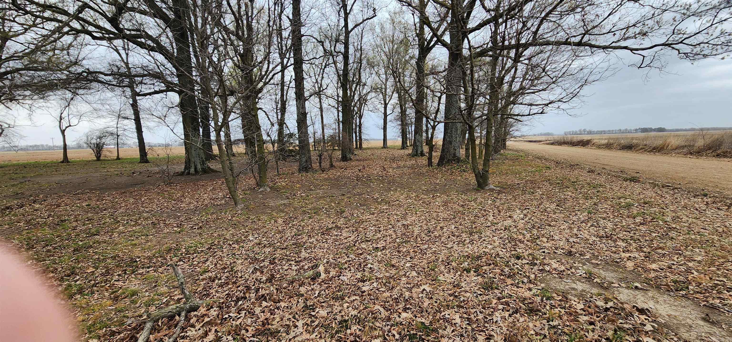 9126 Highway 90 Walnut Ridge, AR 72476