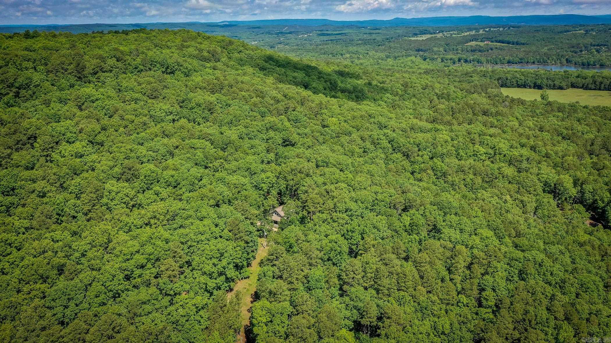 420 Shadow Lane Clinton, AR 72031-0956