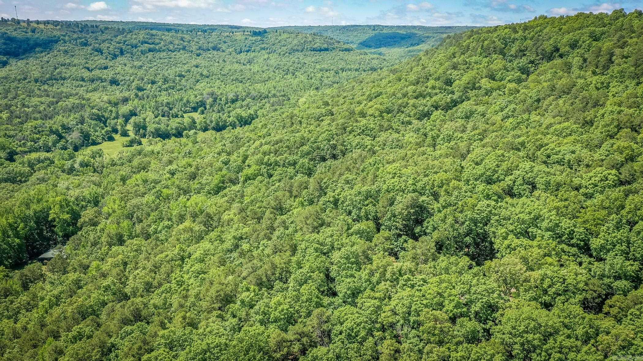 420 Shadow Lane Clinton, AR 72031-0956