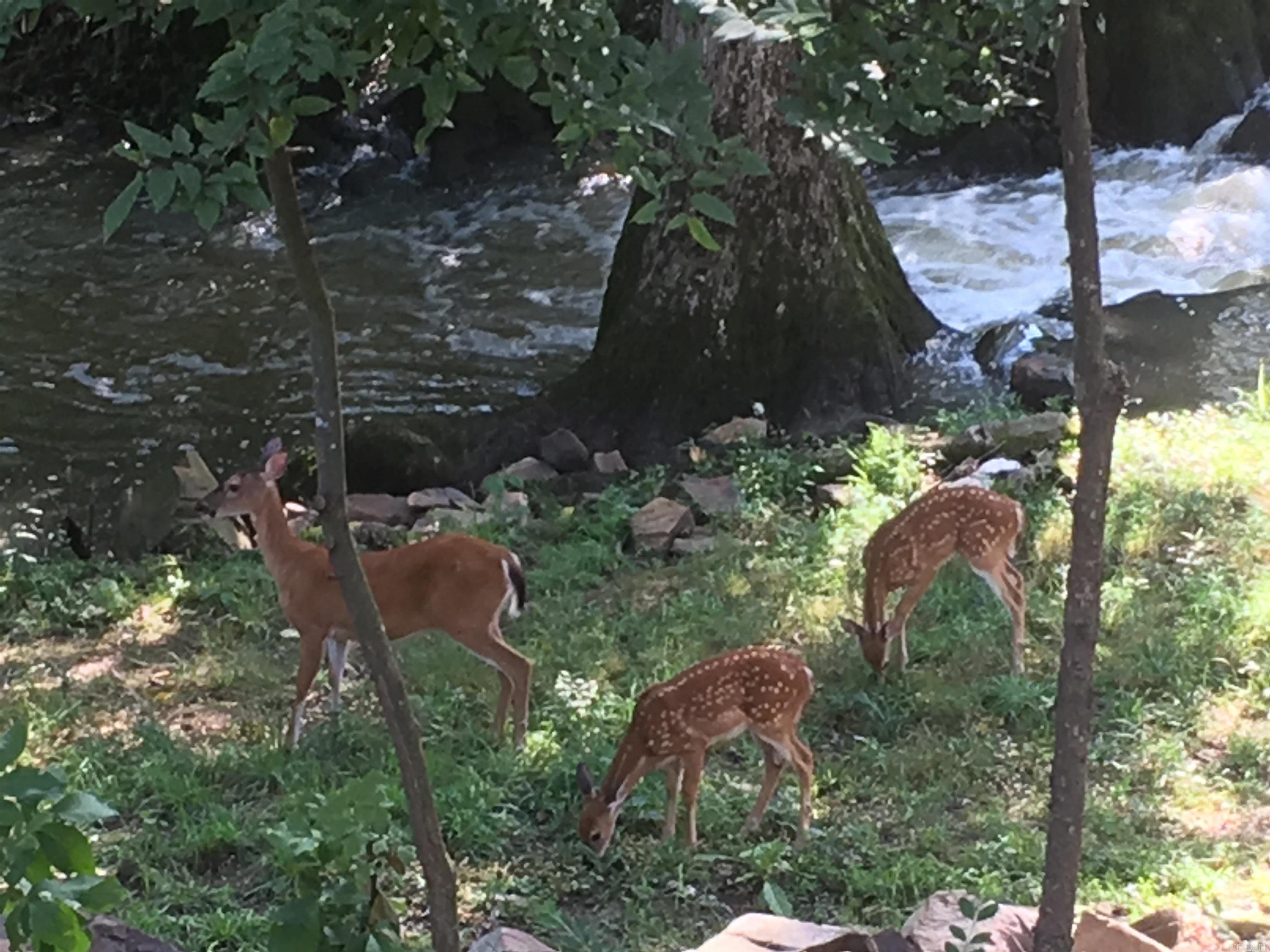 5401 North Hills  North Little Rock, AR