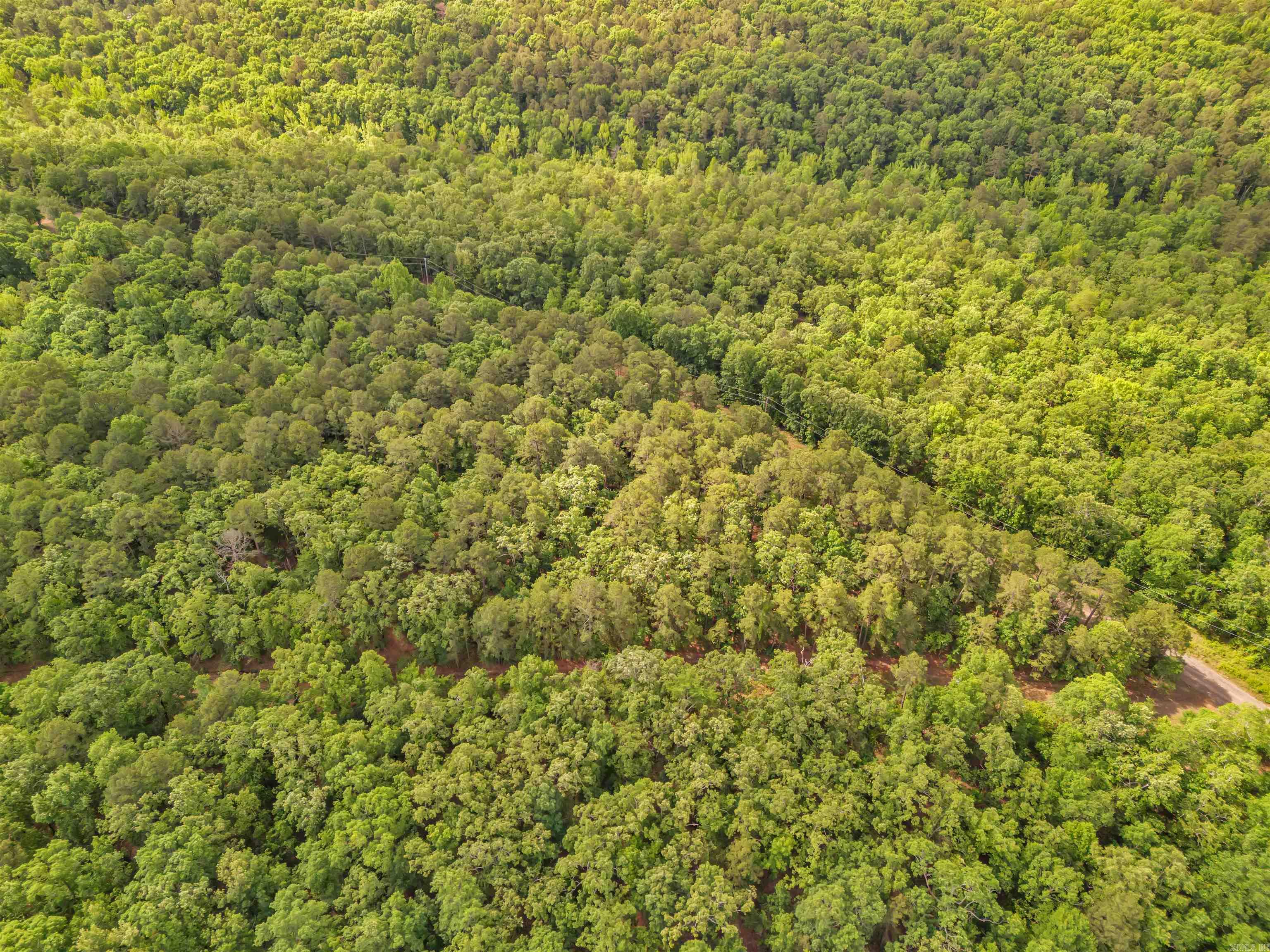 Lot 718 E South Ridge  Bigelow, AR