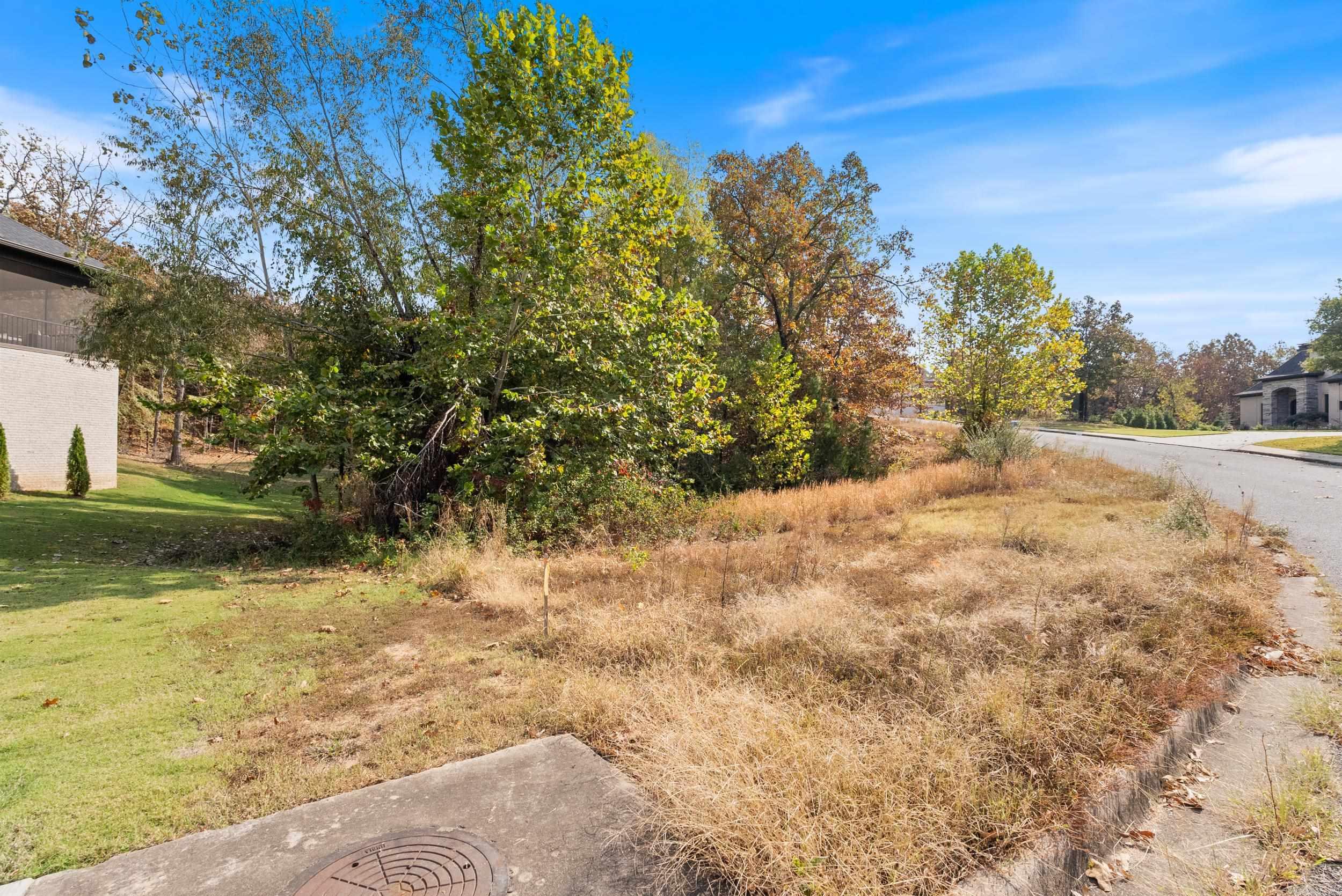 5920 Brush Creek Loop  Conway, AR