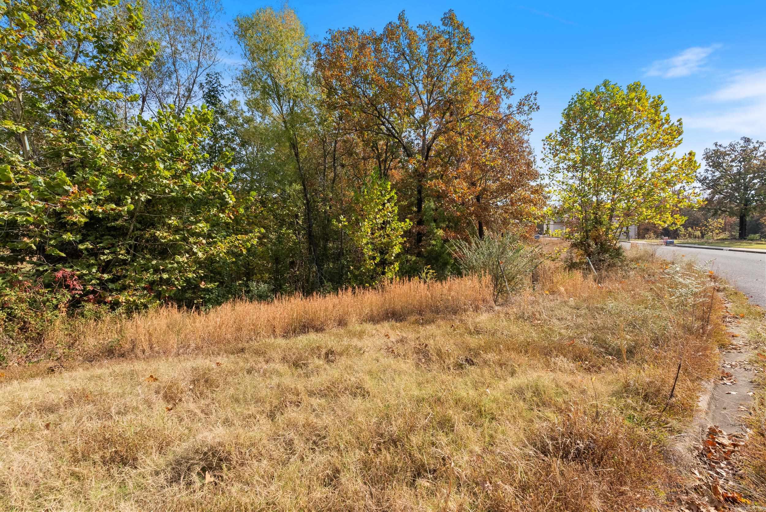 5920 Brush Creek Loop  Conway, AR