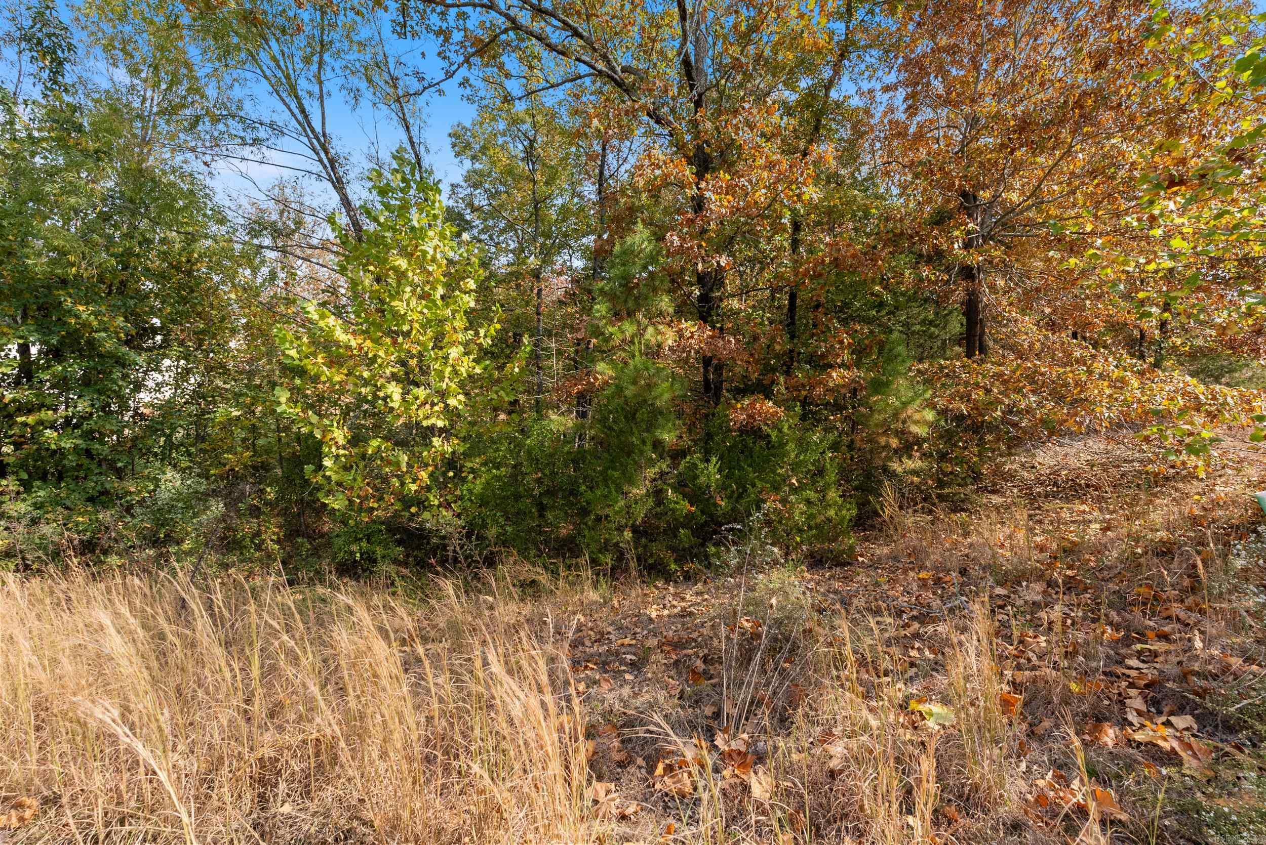 5920 Brush Creek Loop  Conway, AR