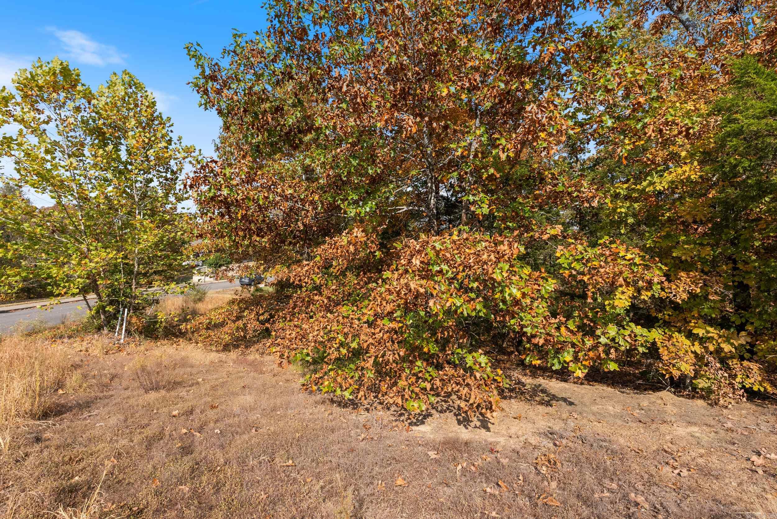 5920 Brush Creek Loop  Conway, AR