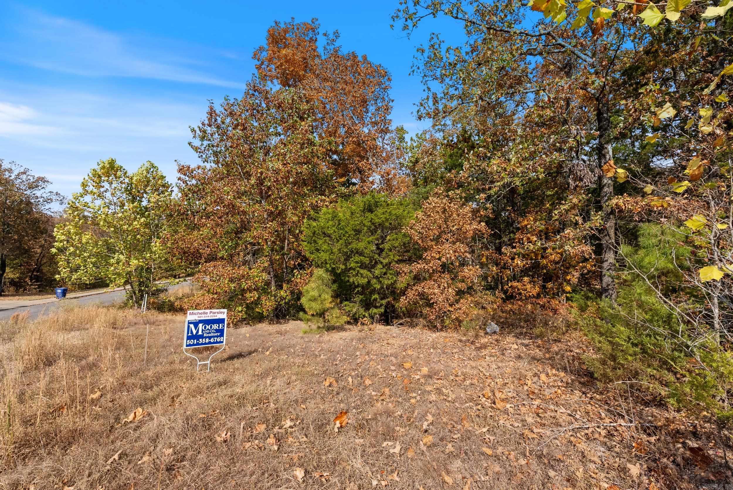 5920 Brush Creek Loop  Conway, AR