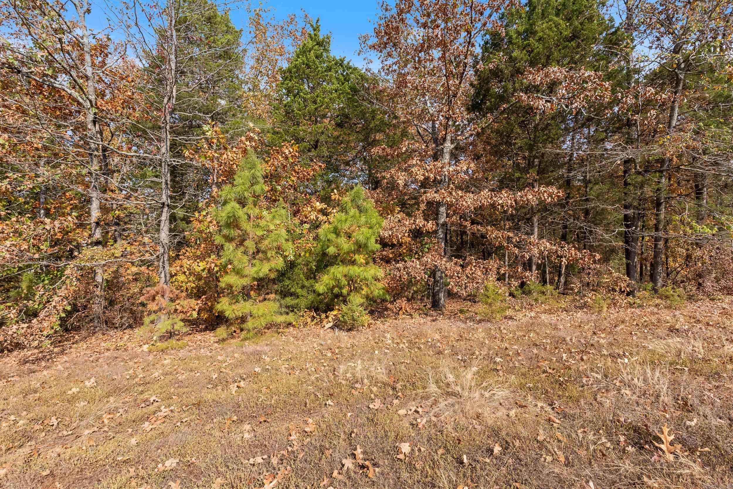 5920 Brush Creek Loop  Conway, AR