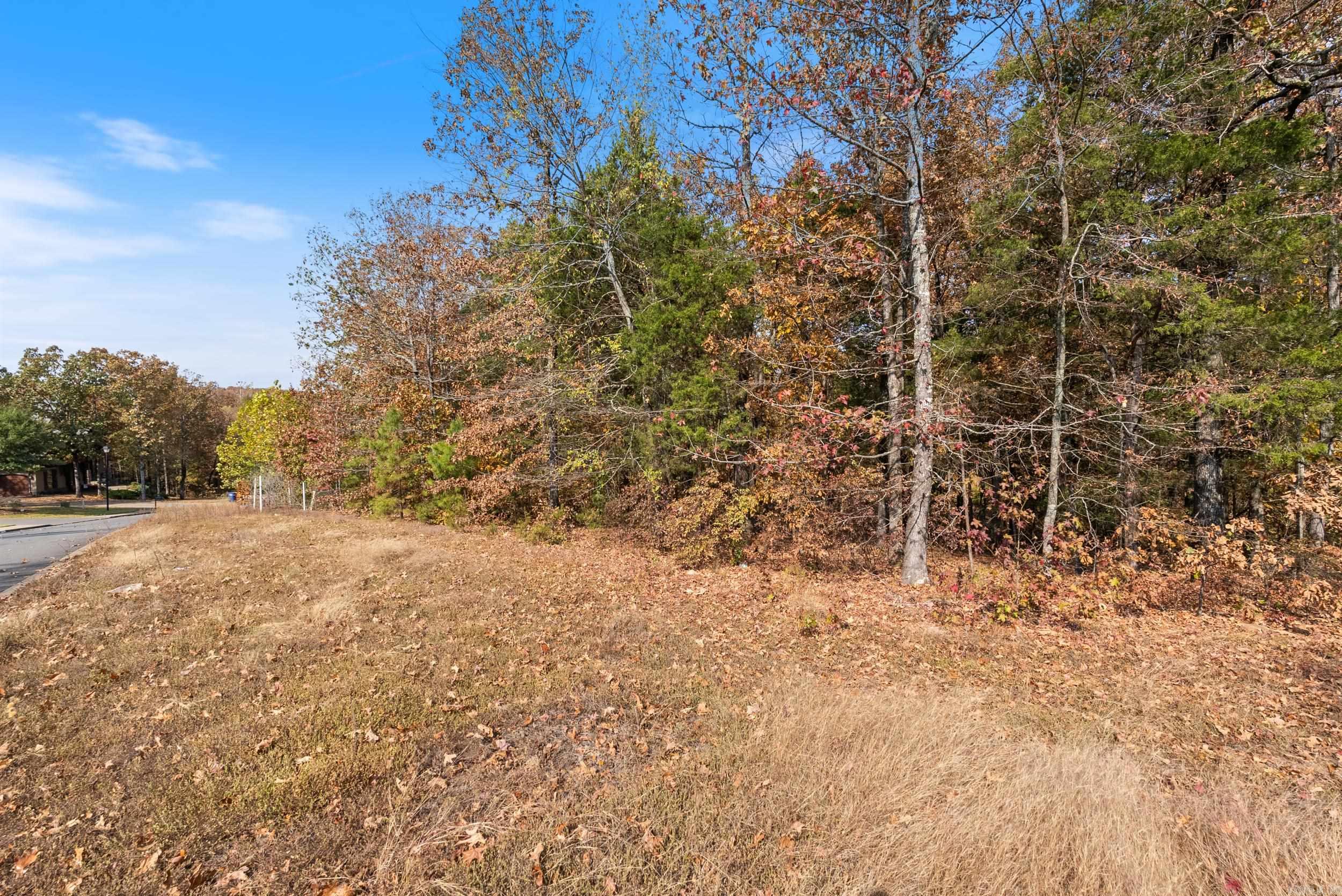 5920 Brush Creek Loop  Conway, AR