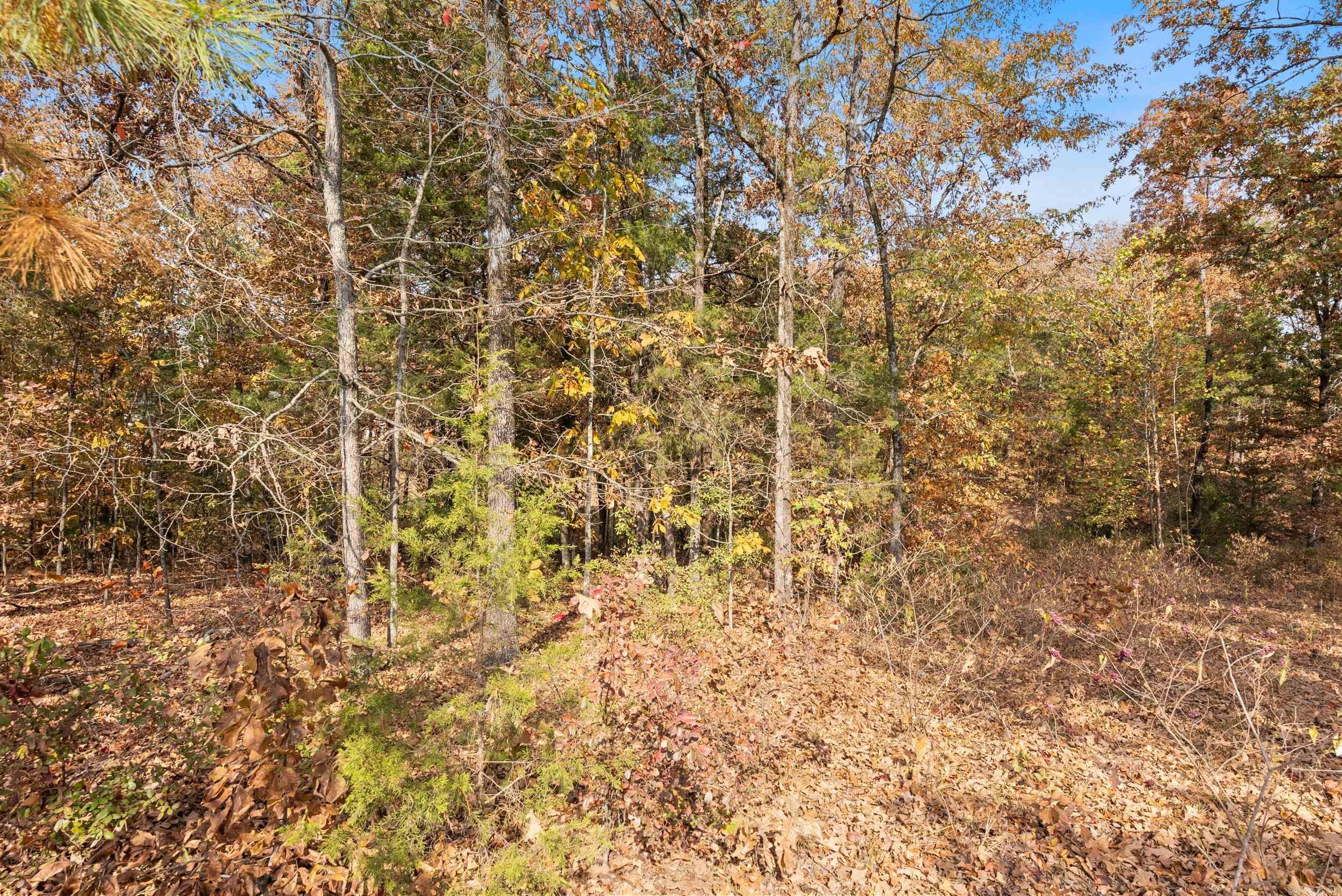 5920 Brush Creek Loop  Conway, AR