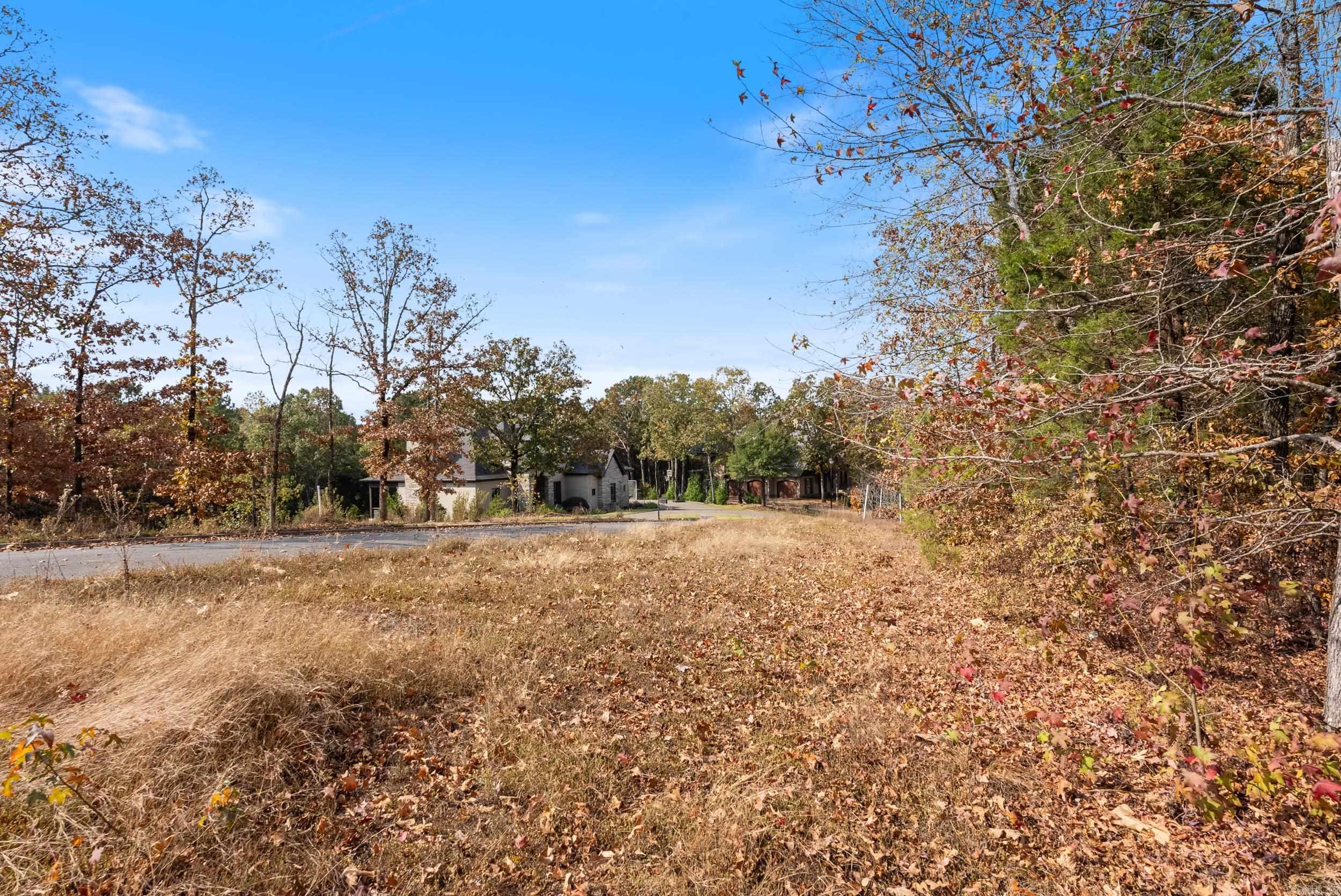 5920 Brush Creek Loop  Conway, AR