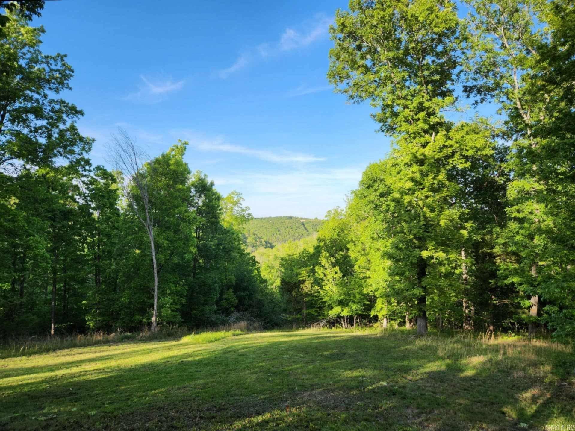 3227 Red Bluff  Marshall, AR