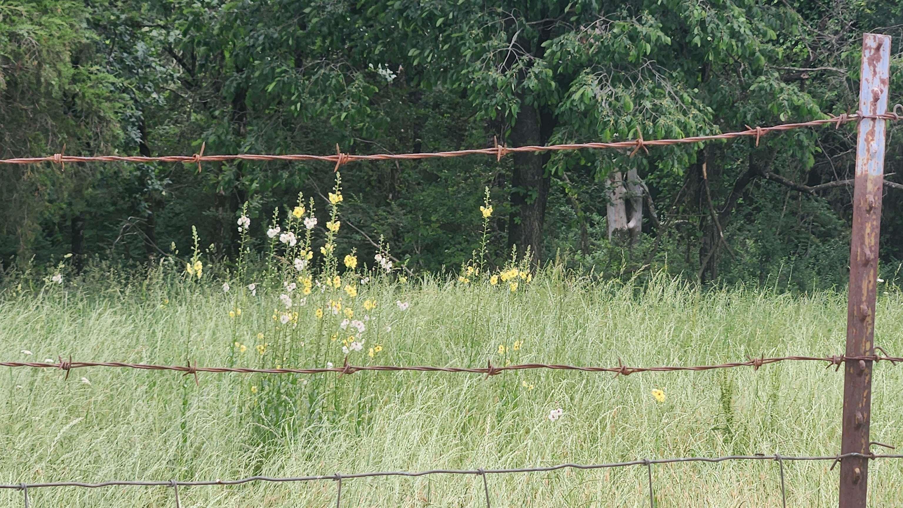 TBD Murphy Rd  Norman, AR