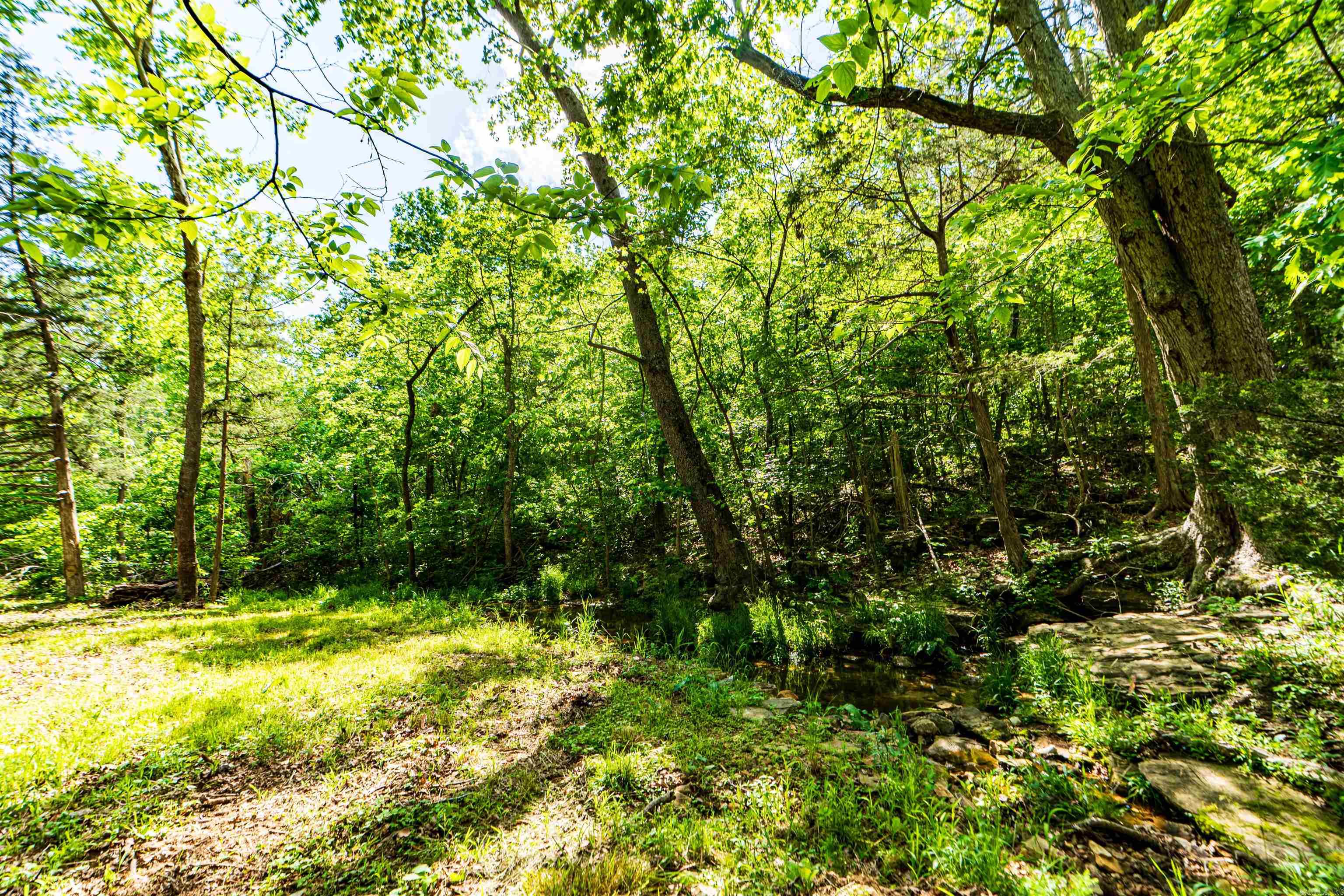 1958 MC 4042 Yellville, AR 72687