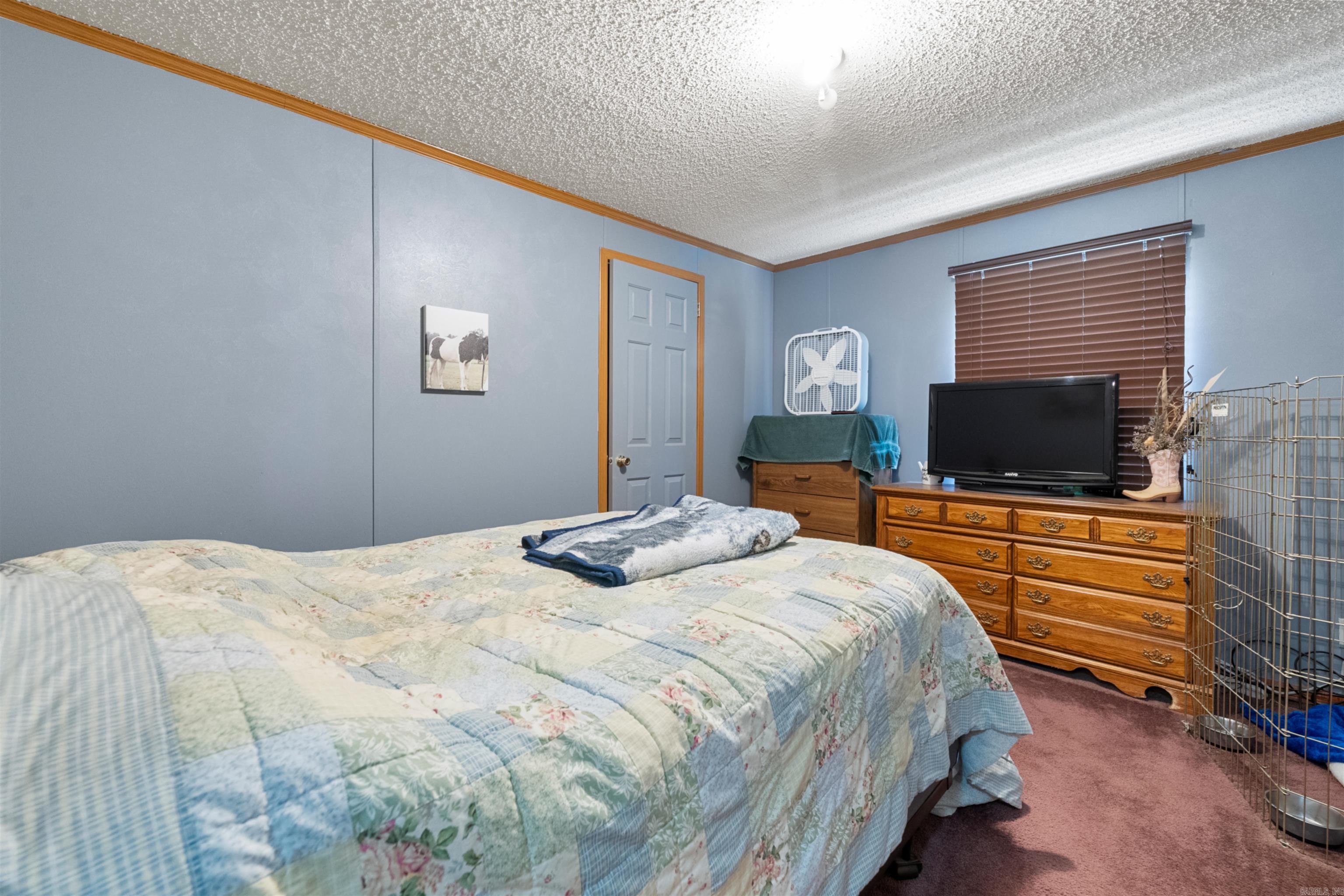 226 Shafer Trail Austin, AR 72007