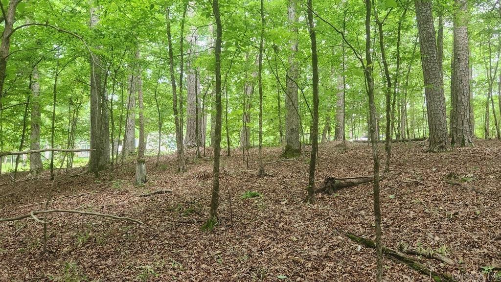 TBD Overcrest Dr  Sims, AR