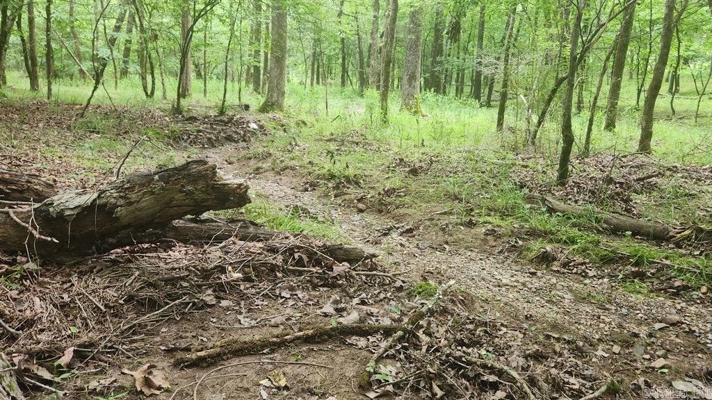 TBD Overcrest Dr  Sims, AR