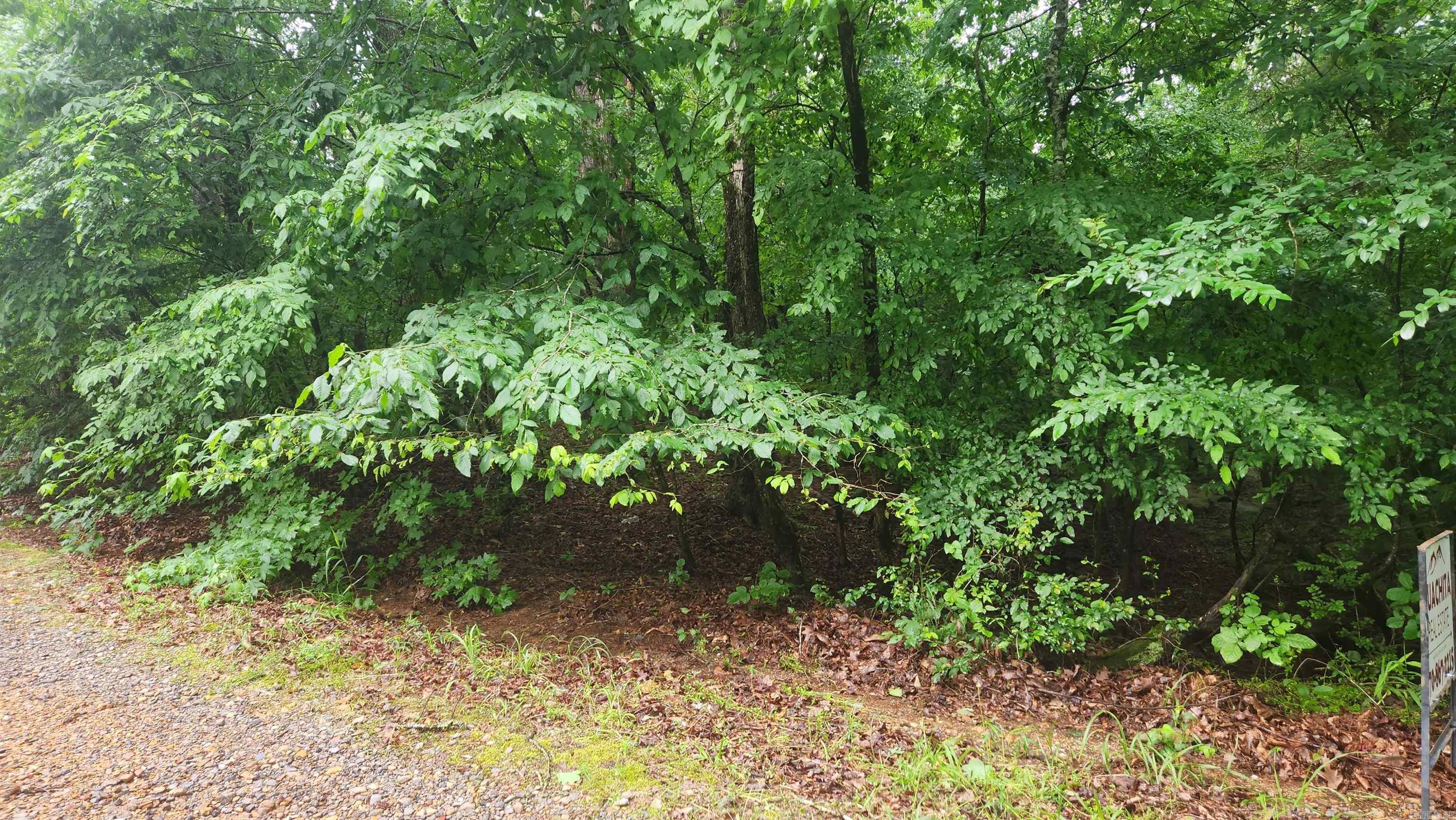 TBD Overcrest Dr  Sims, AR